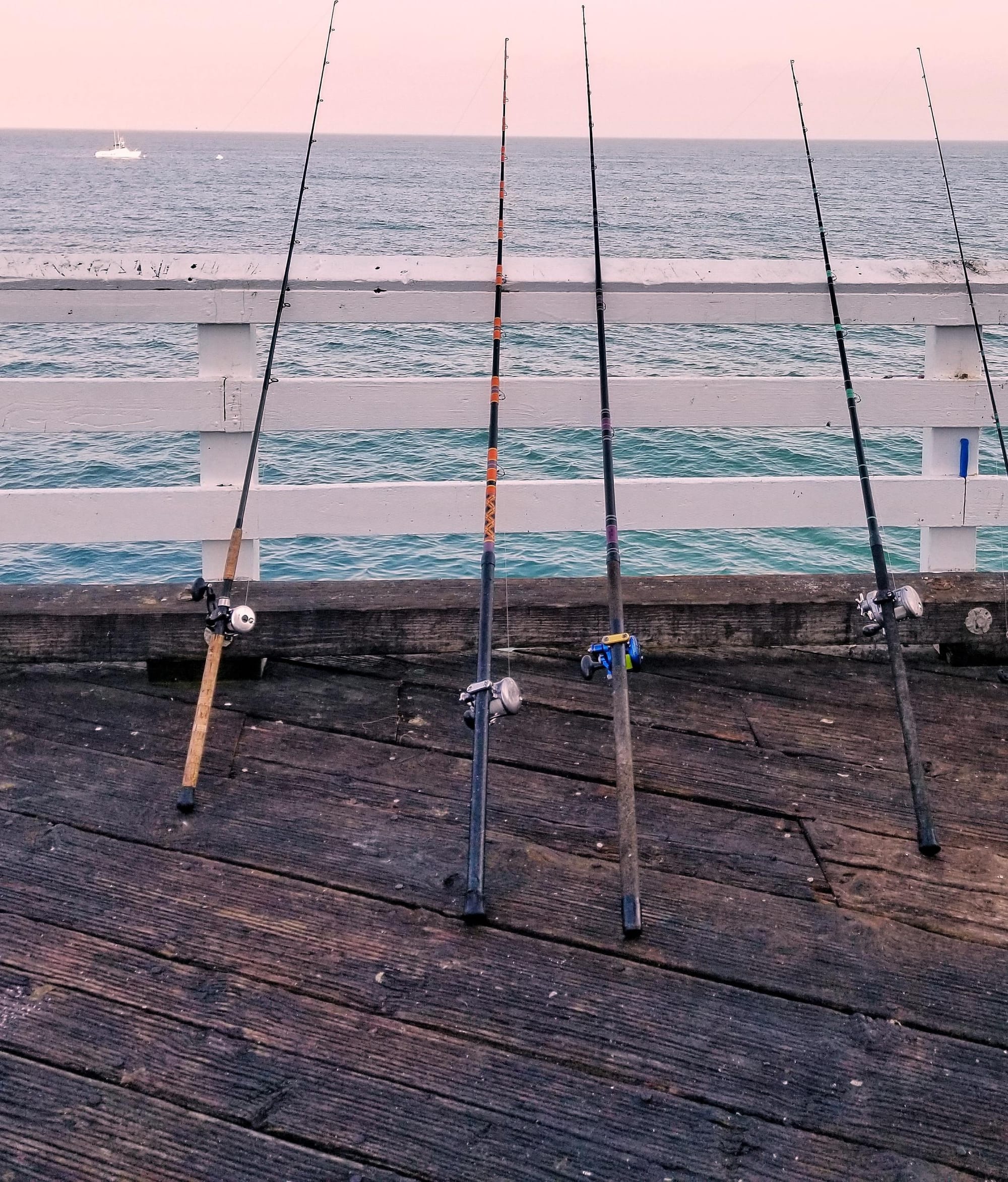 Around the bay with Jim’s Bait and Tackle