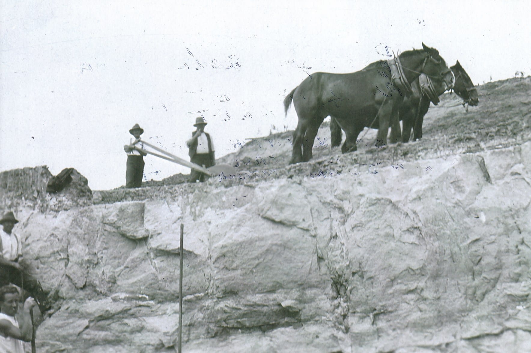 Early roadmaking on Phillip Island
