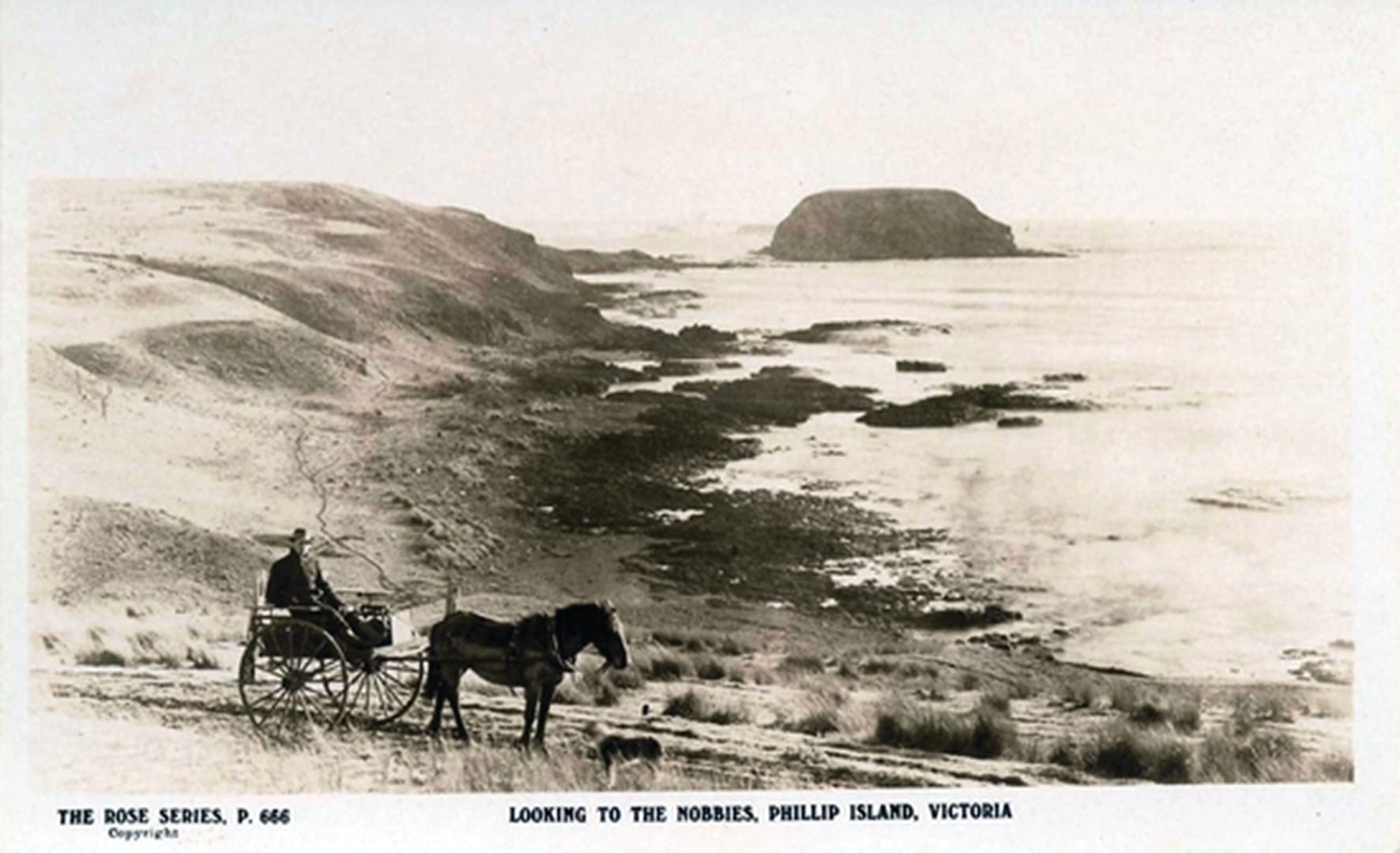 Do you know these historical oddities?