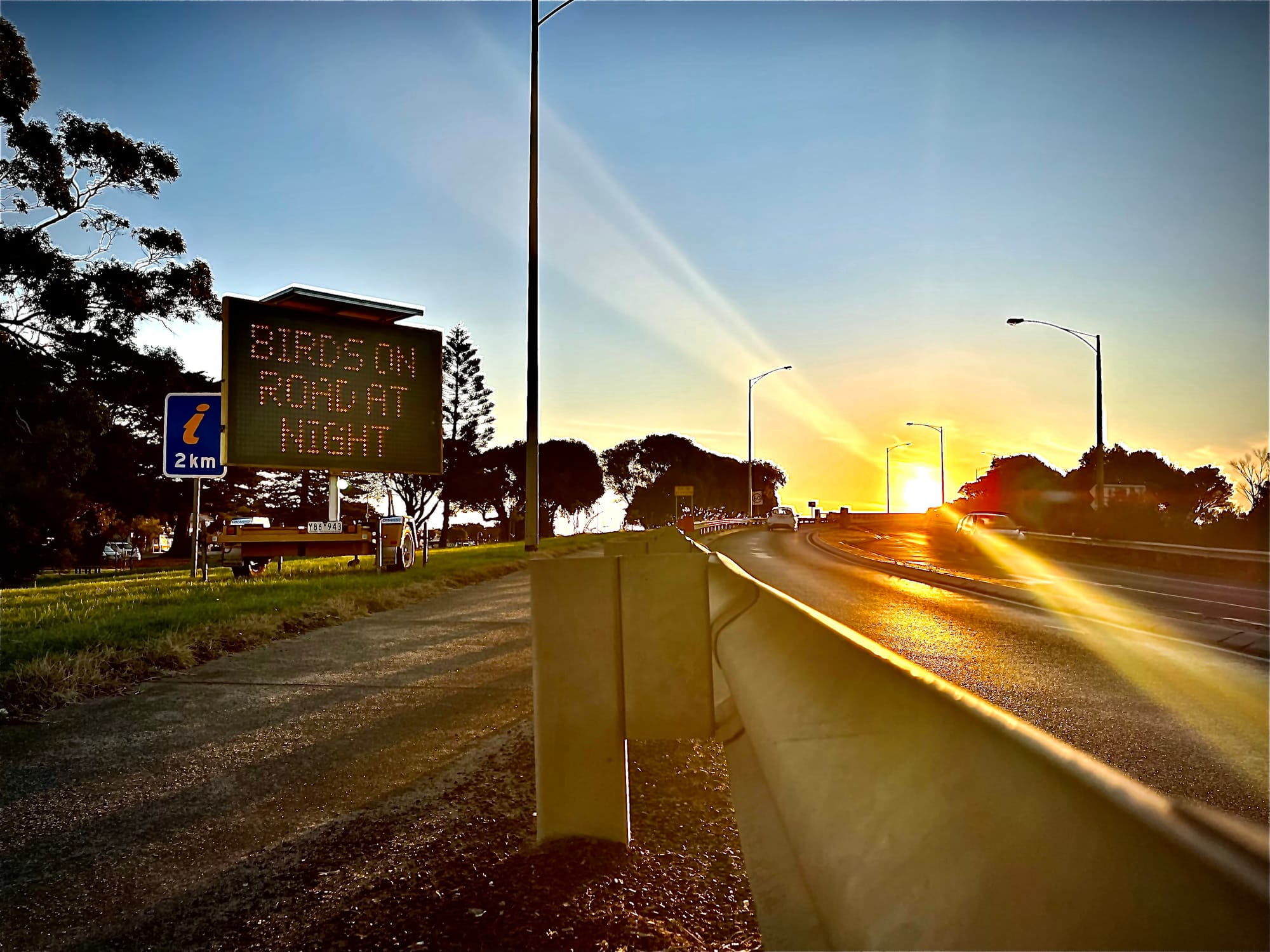 Lights off as shearwater chicks depart