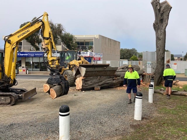 Trees come down in San Remo