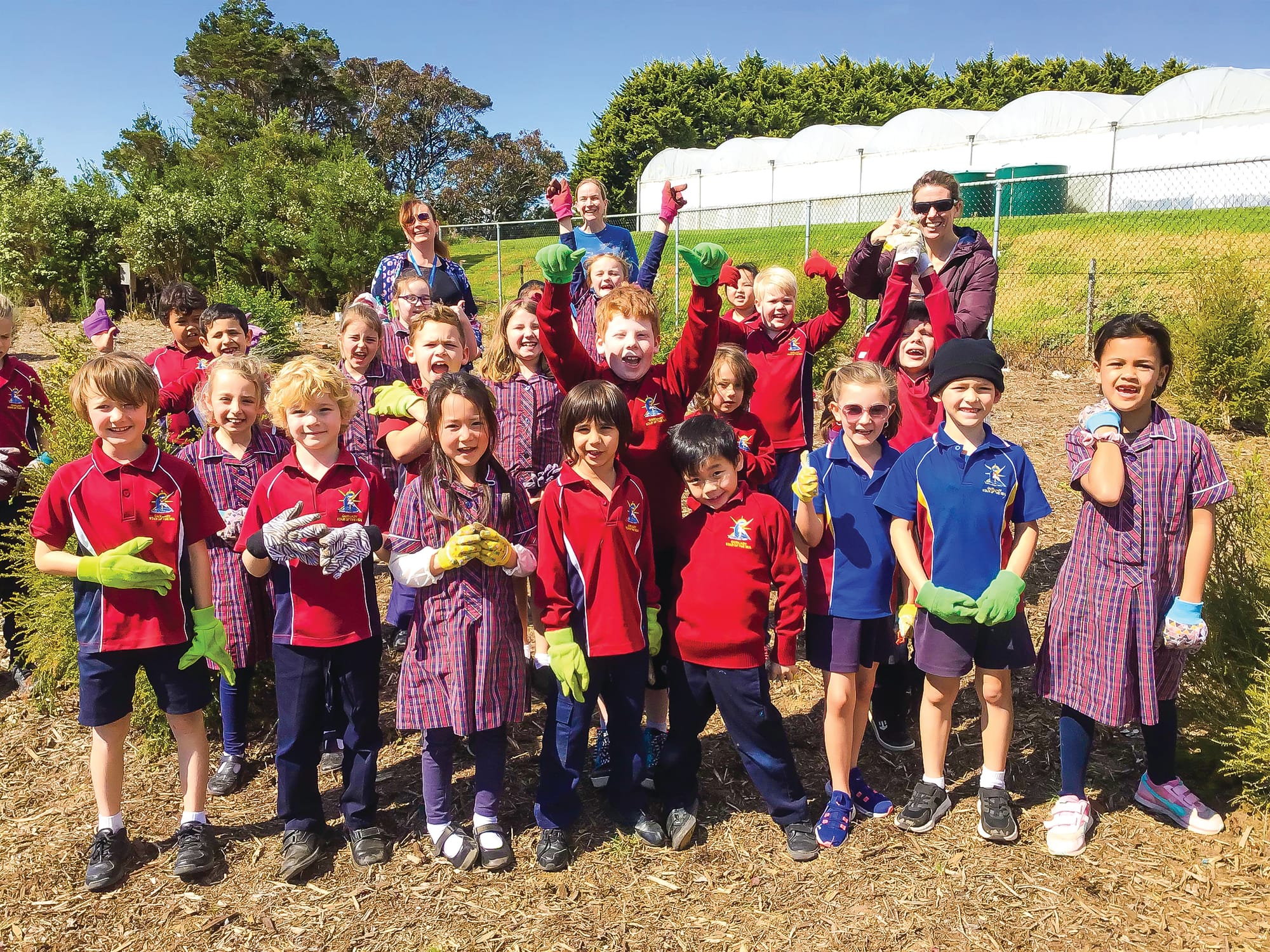 School is growing greener