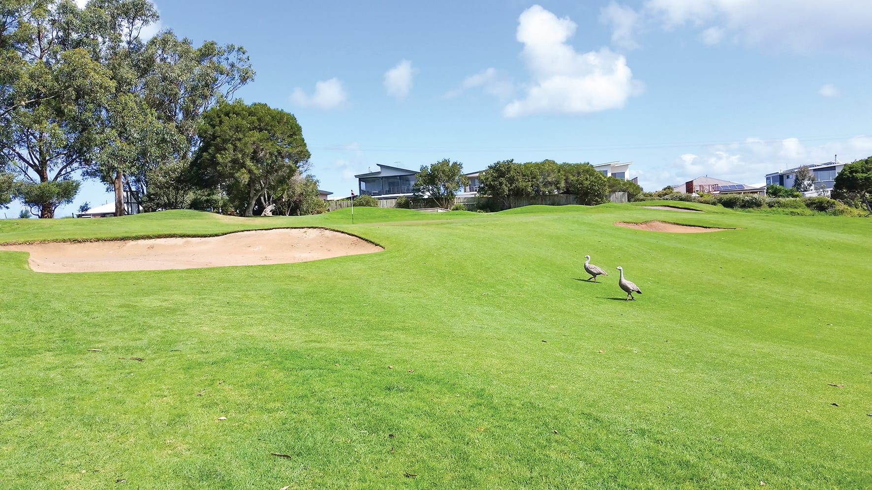 Phillip Island golf