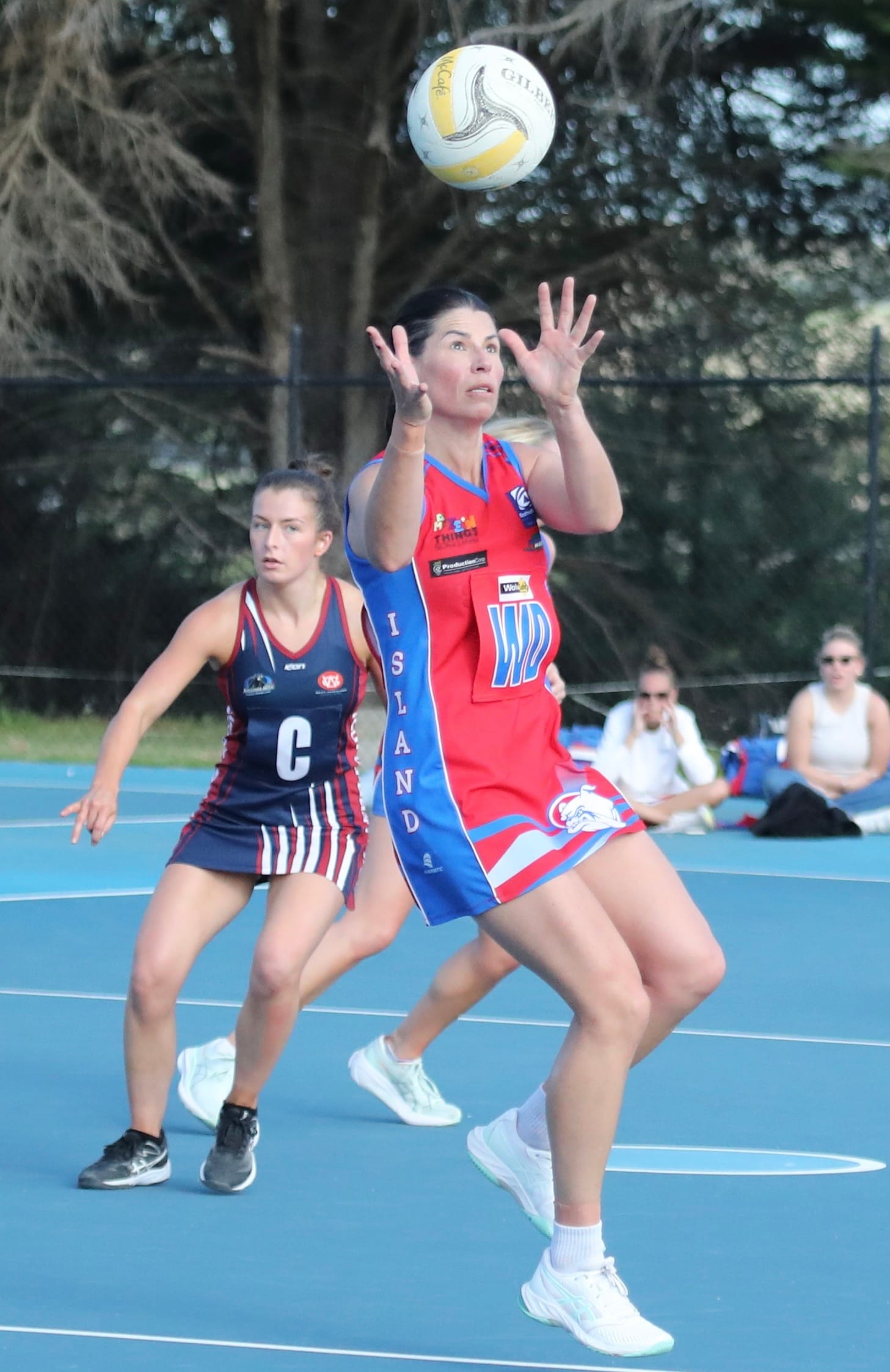 Rivalry renewed as island take on Panthers