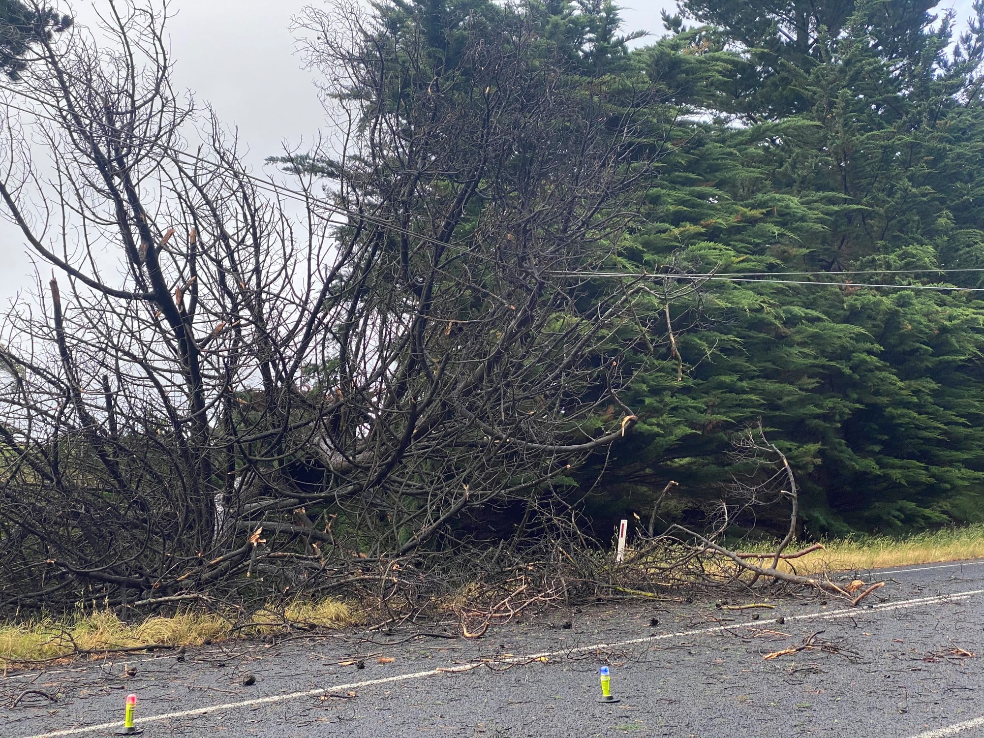 Wild winds cut power