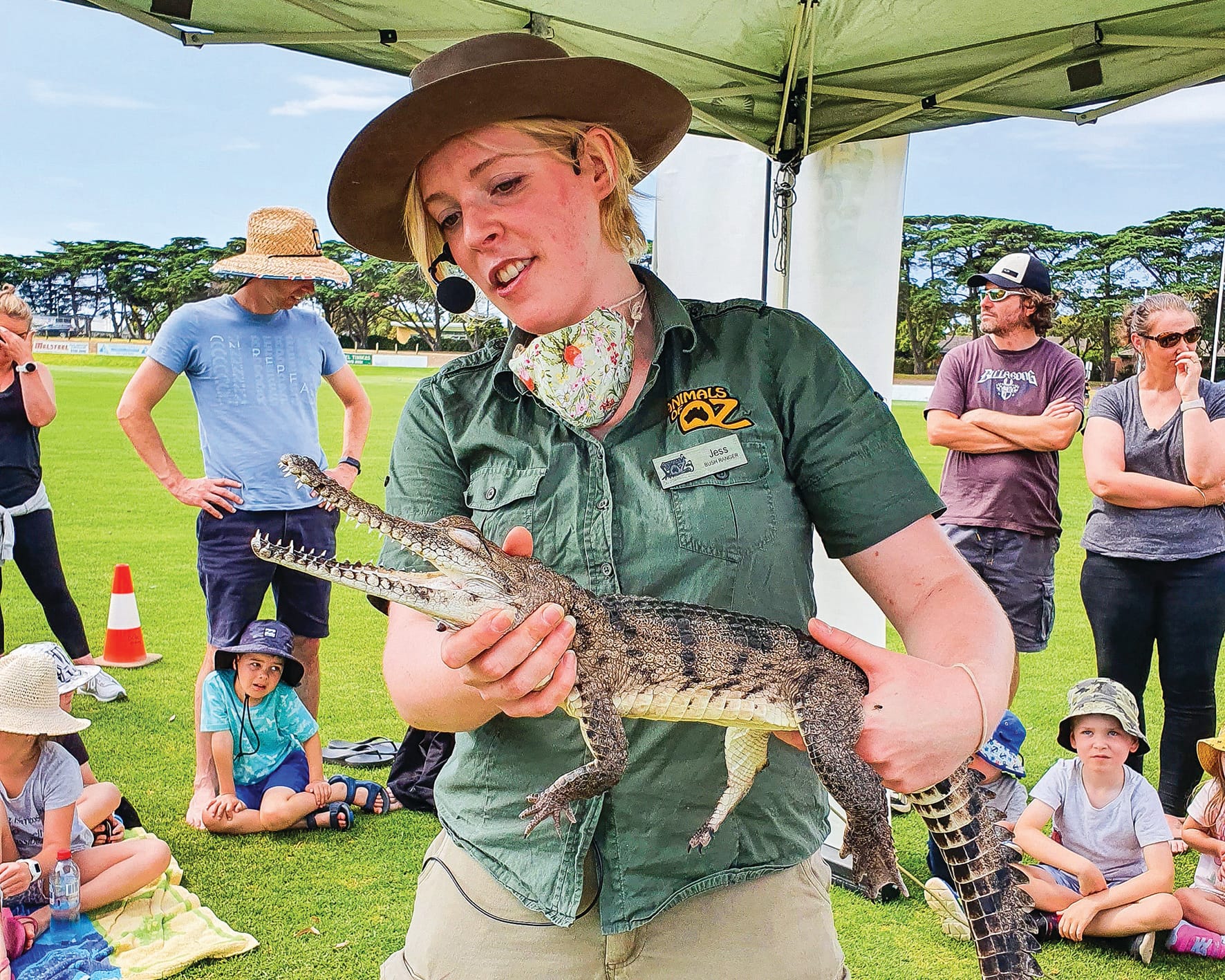Get hands on with animals