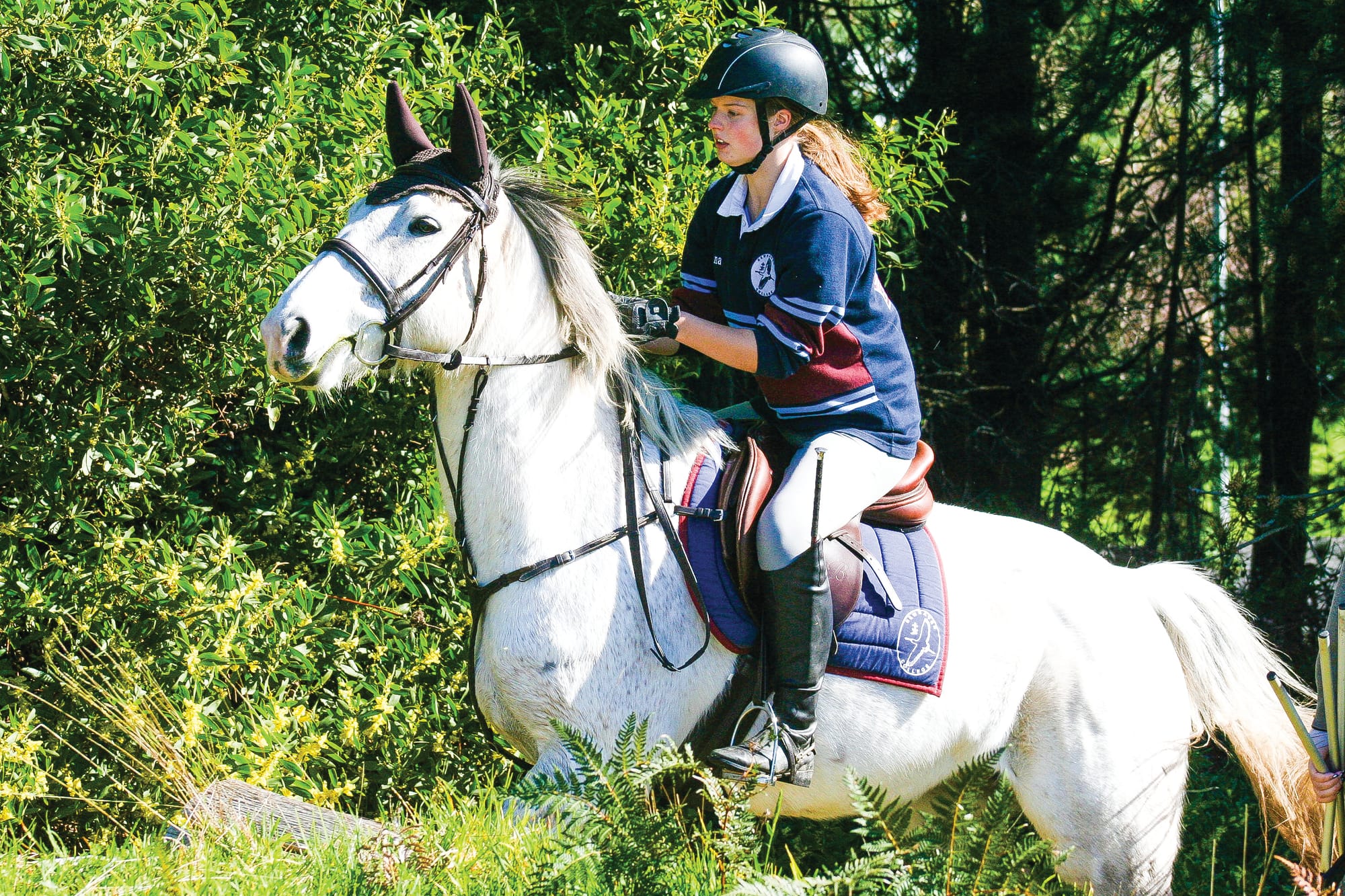 Equestrian team winter training day