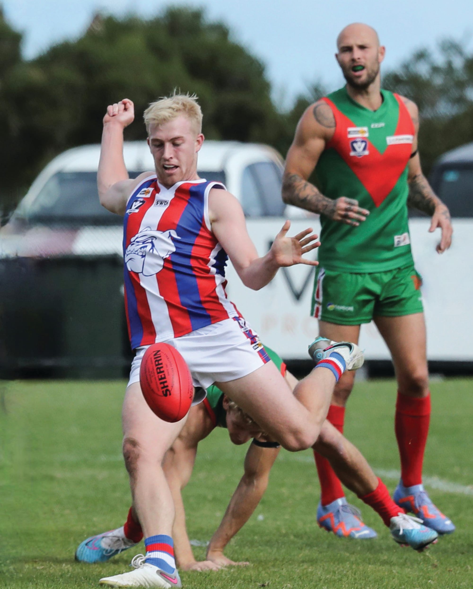 Bulldogs bite back in Grand Final replay - Seniors