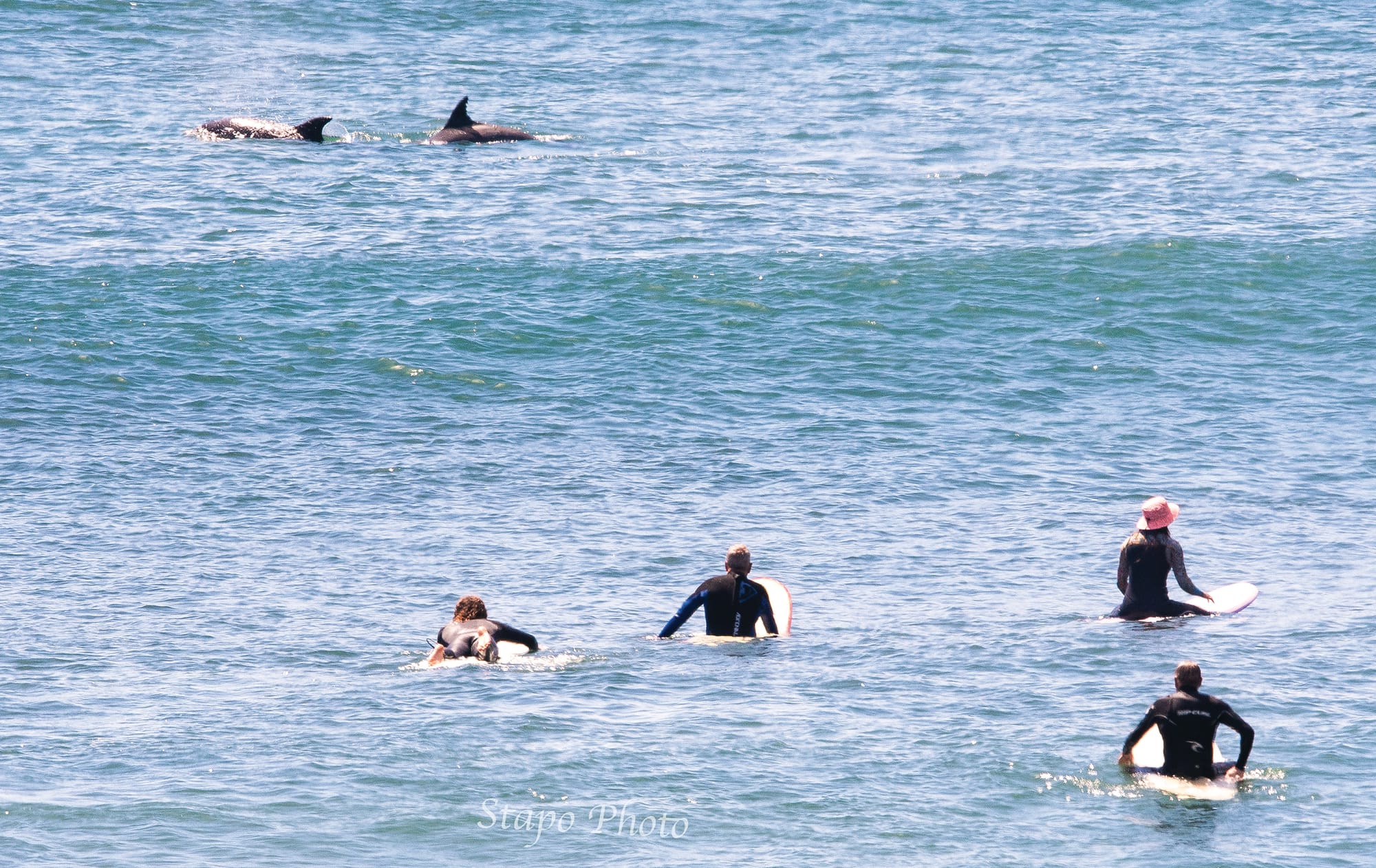 All sorts surfing the waves