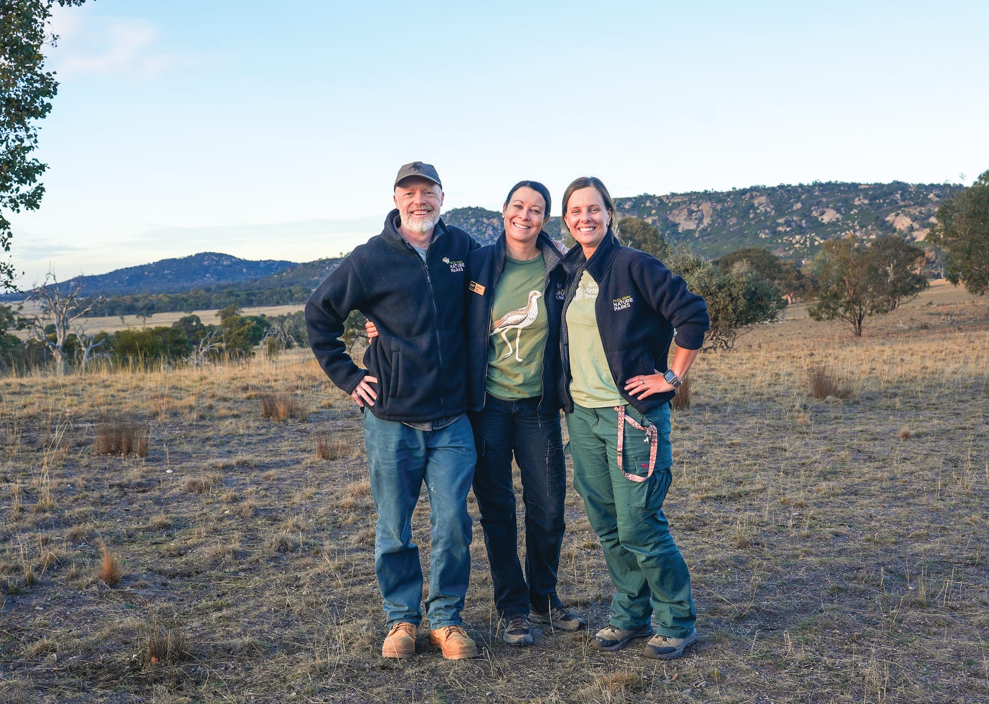 More curlews call island home