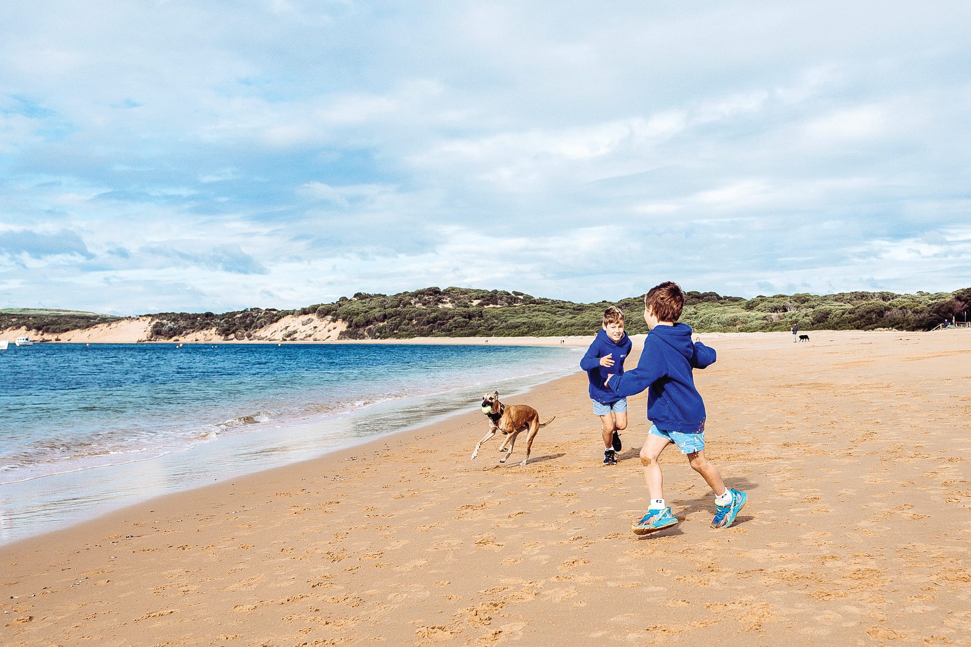 Shake off stress at the off-leash beach