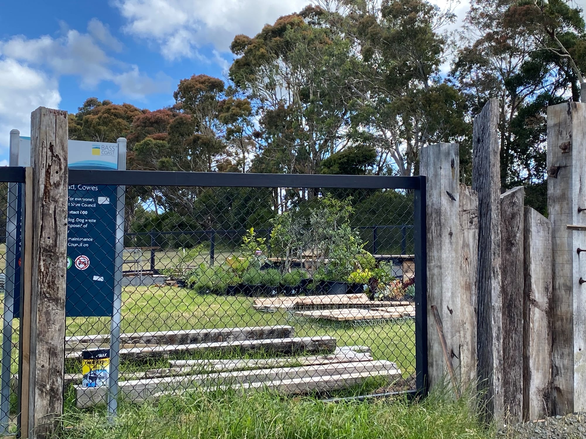 Community Garden grows