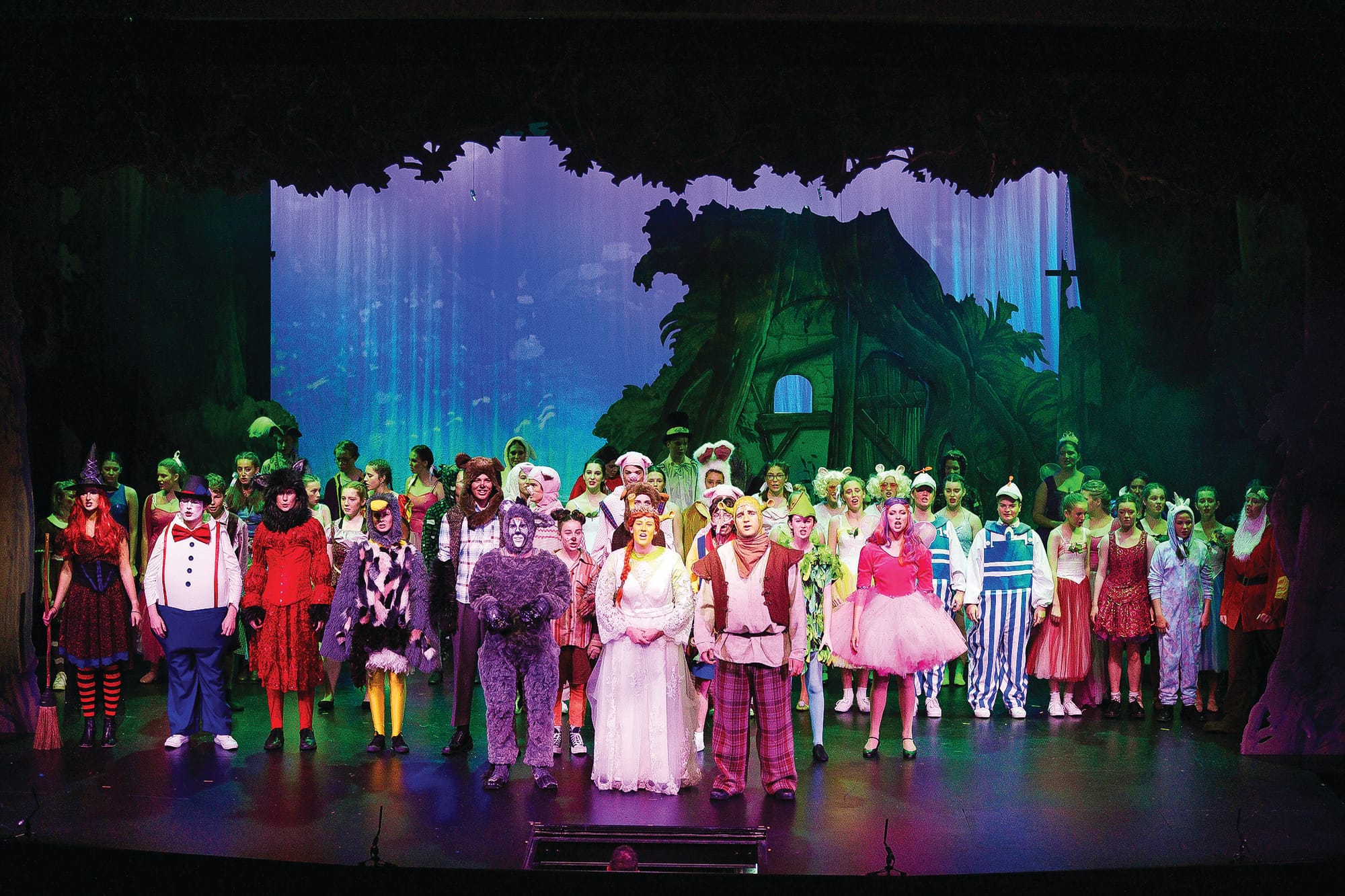 Students dazzle in Shrek The Musical