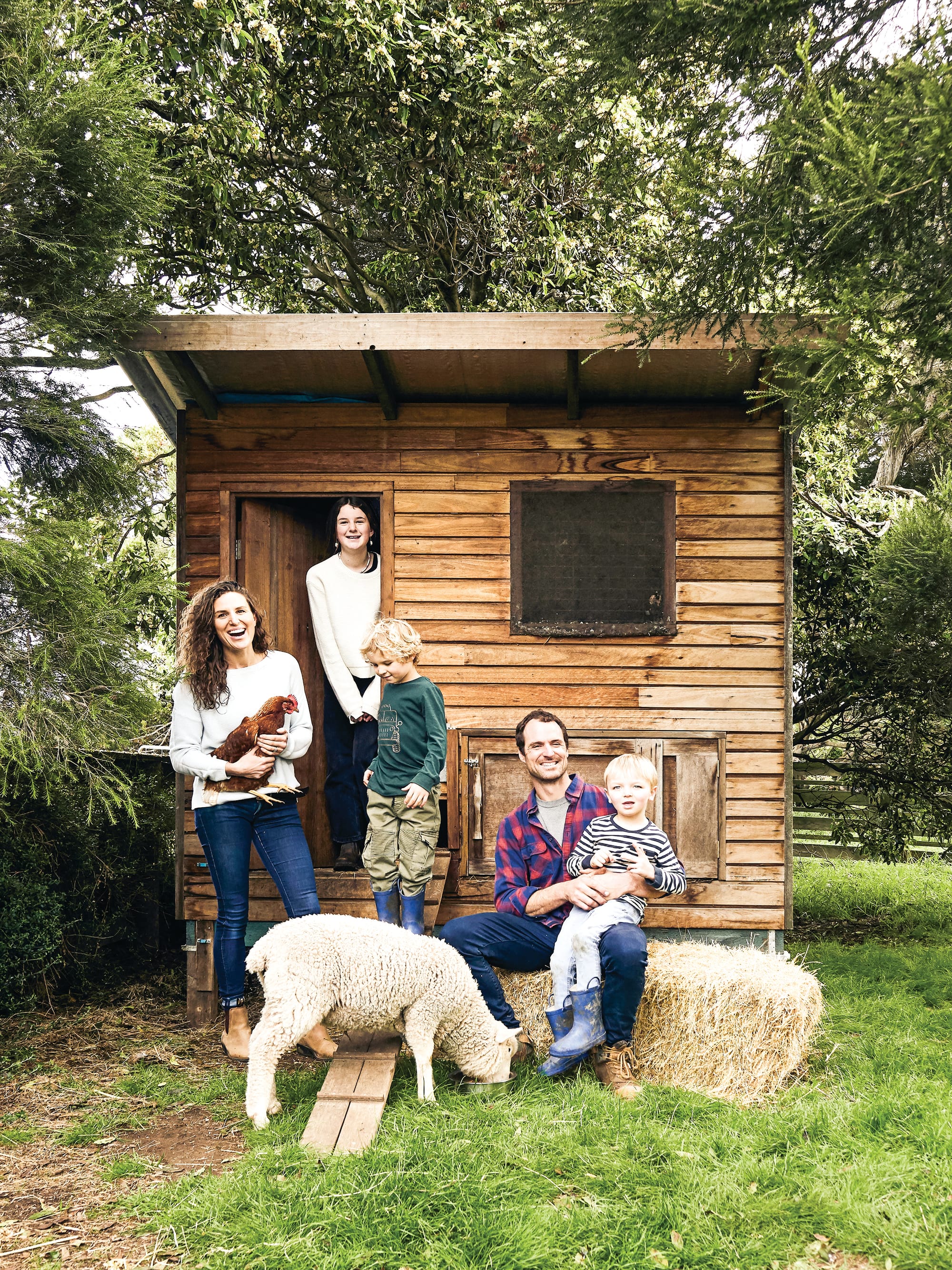 Green light for Ventnor farm attraction