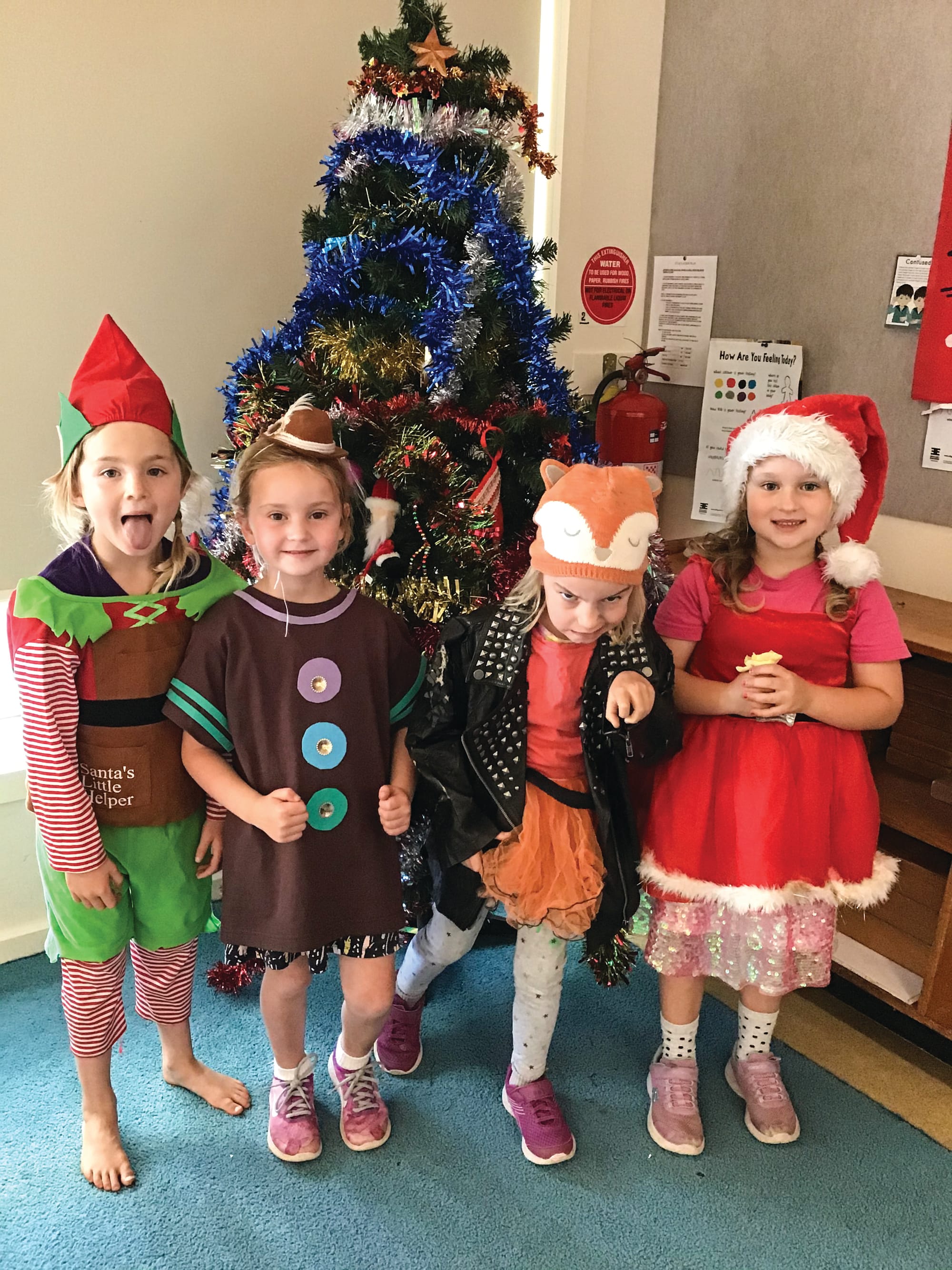 Kinder ginger performance