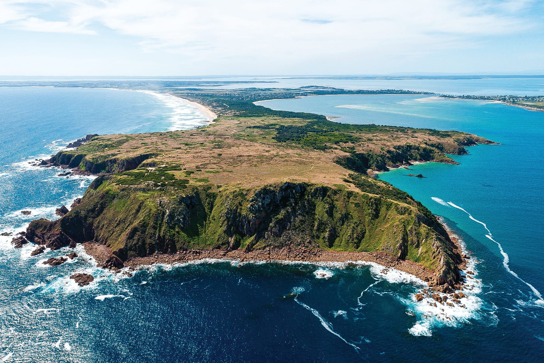 DAL - Environmental threats spotlighted, not necessarily protected