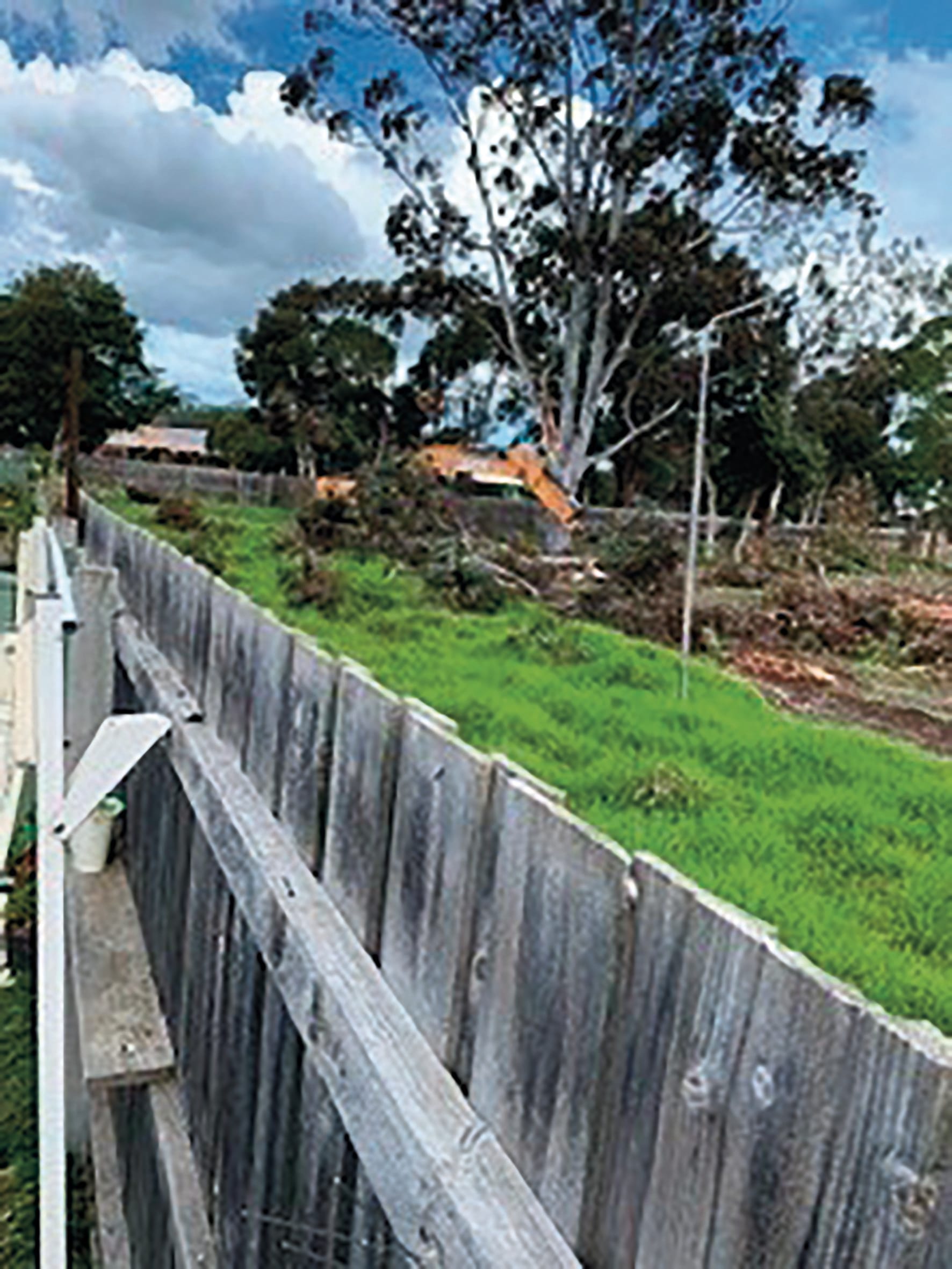 Tree lopping under investigation at caravan park