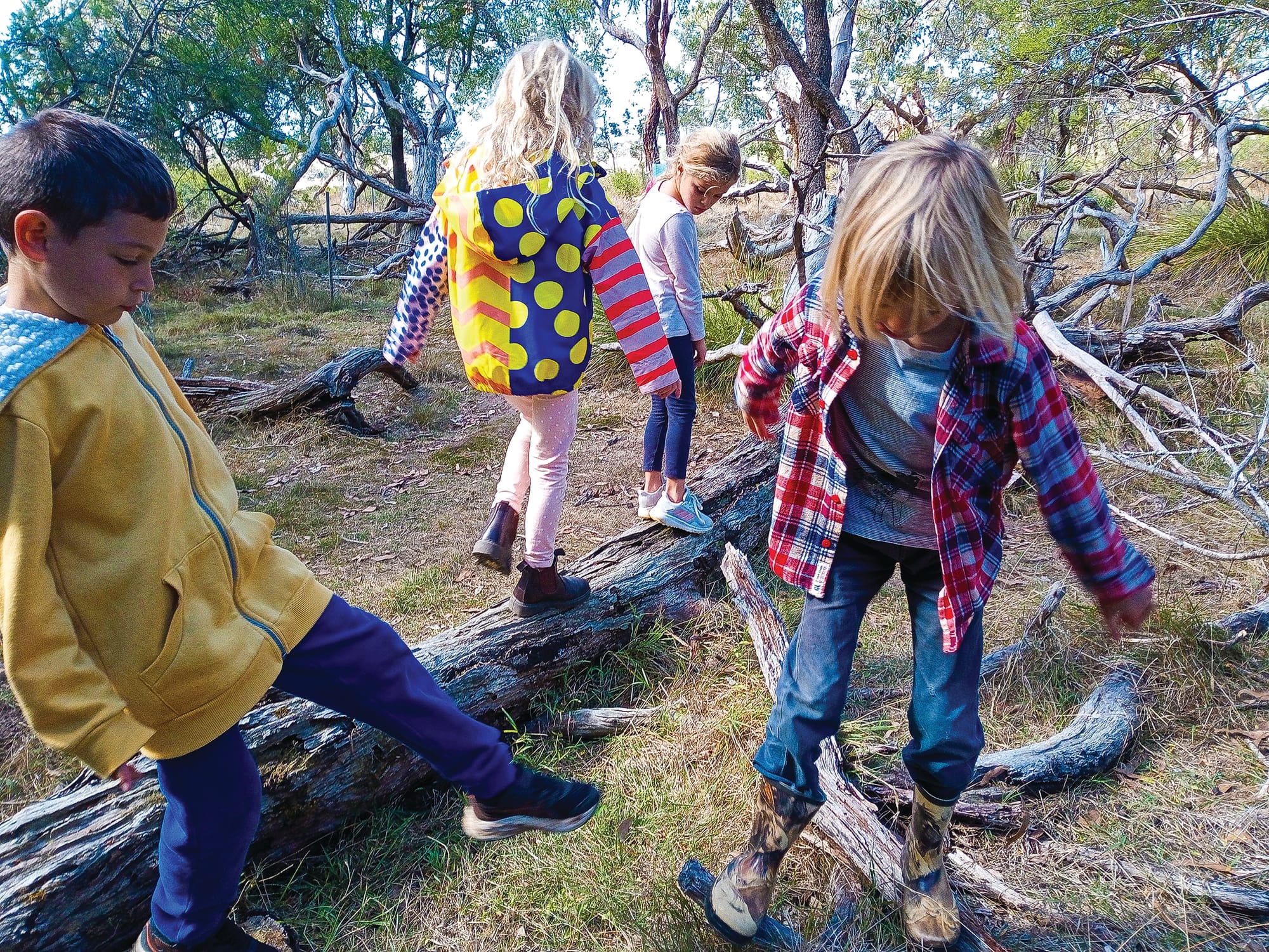 Village School goes bush