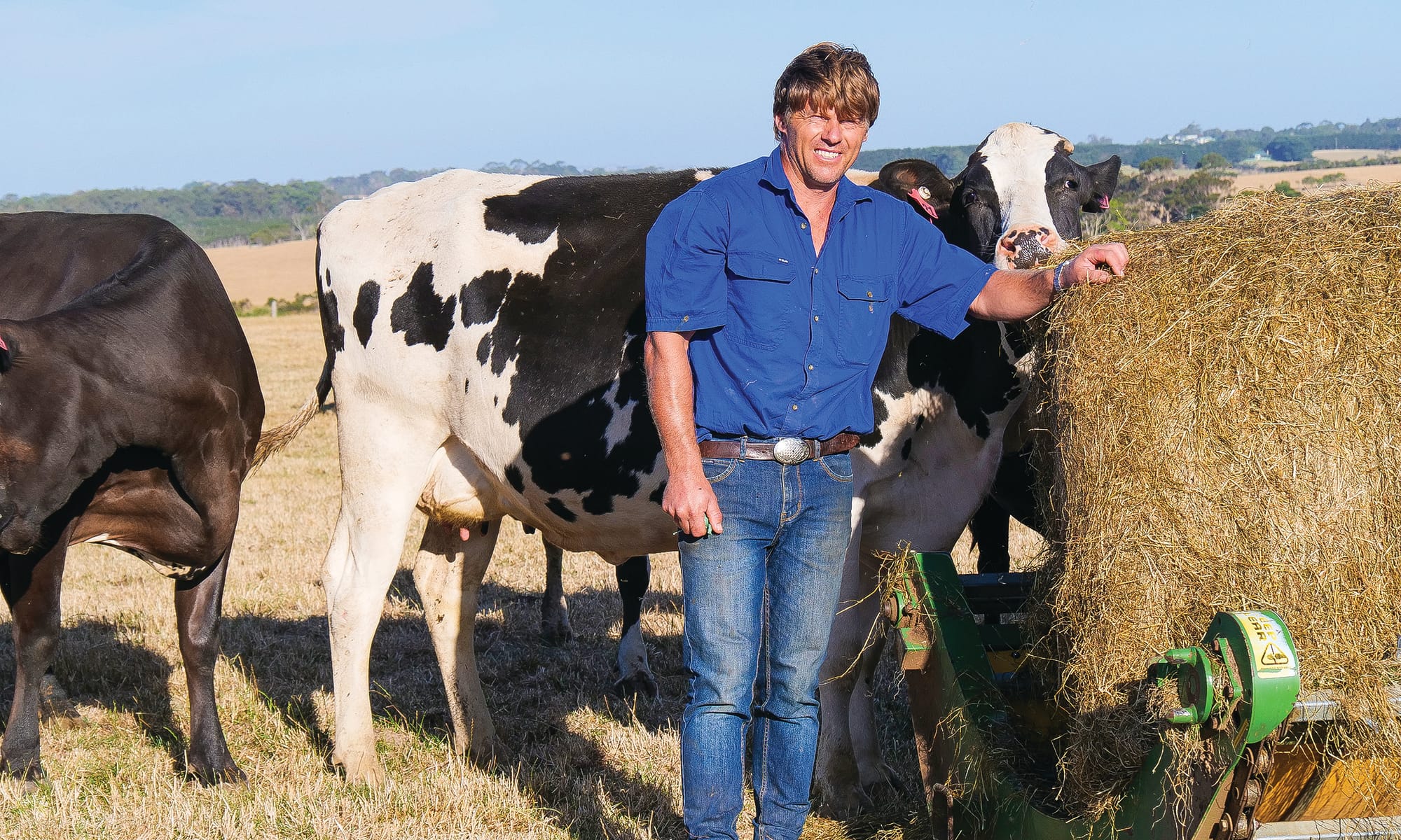 Finally, milking a benefit