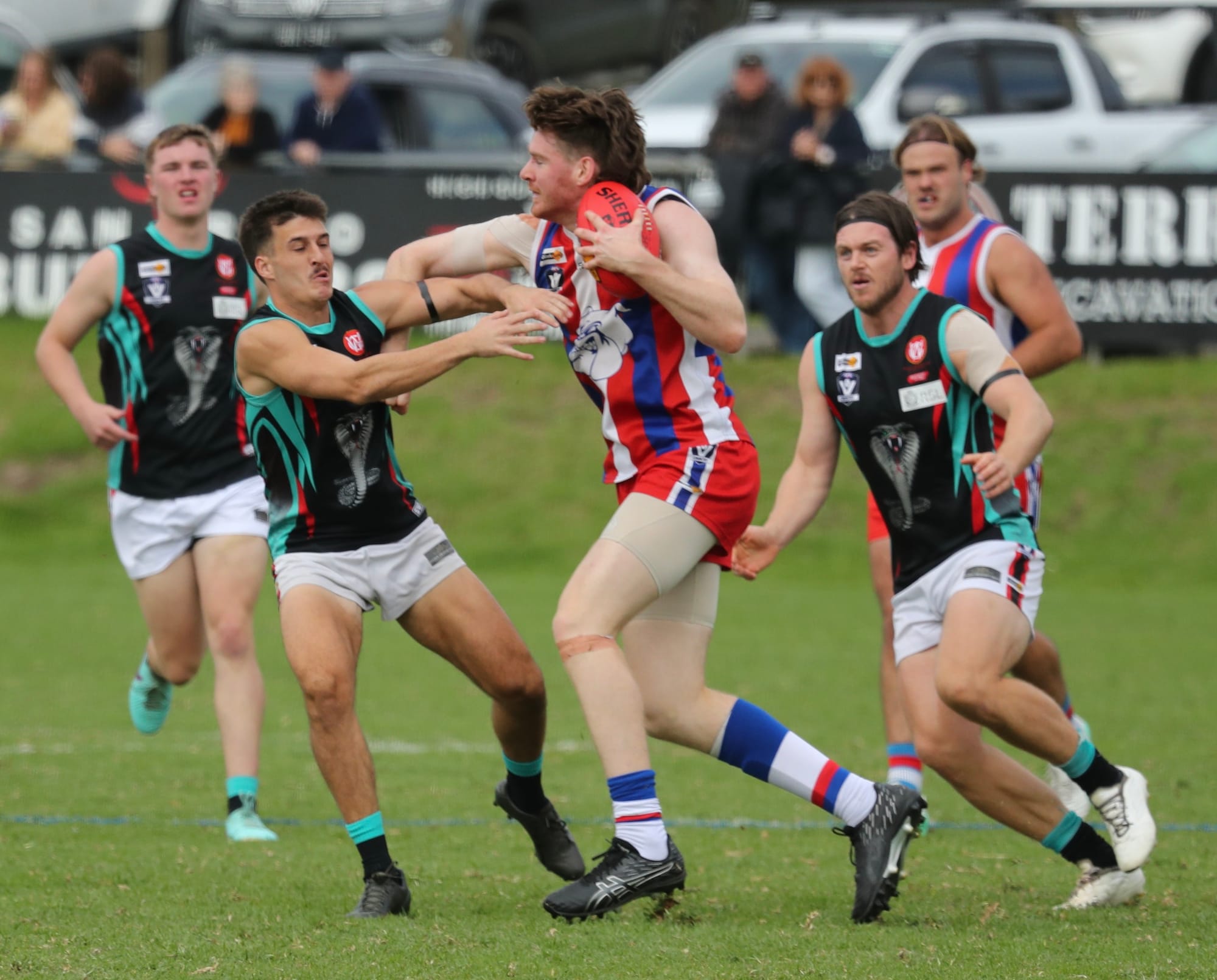 Bulldogs find their bite