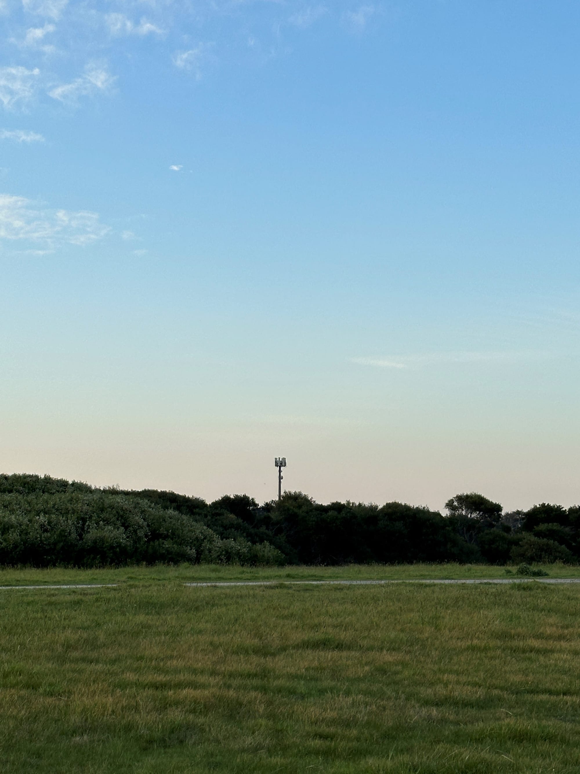 Phone services outlook: Growth