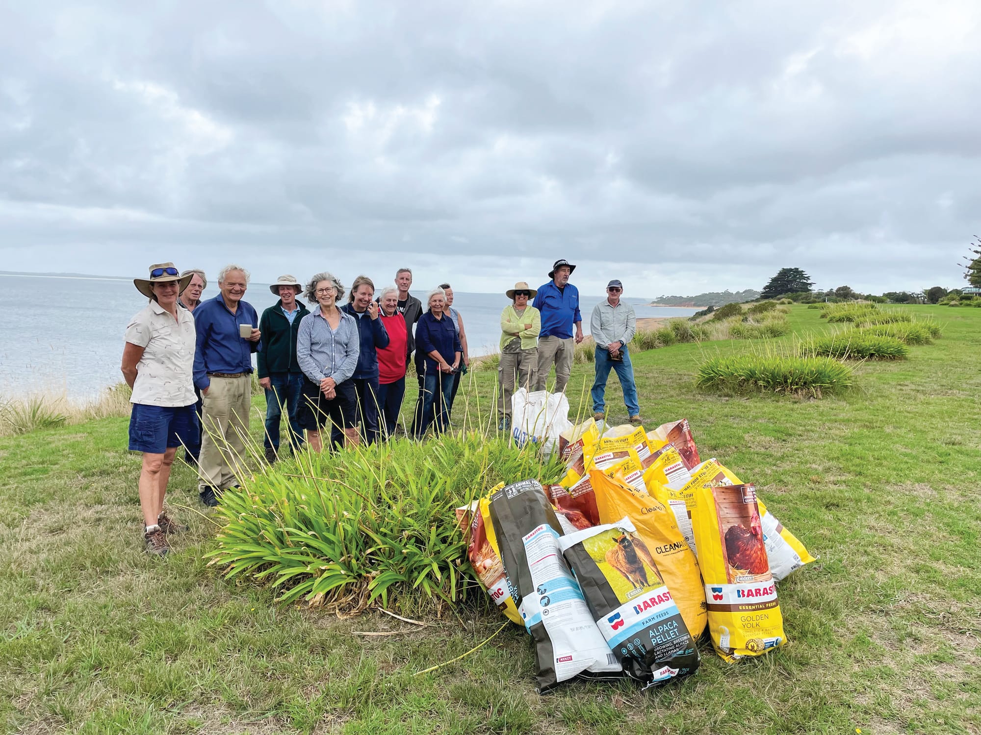 Another agapanthus blitz