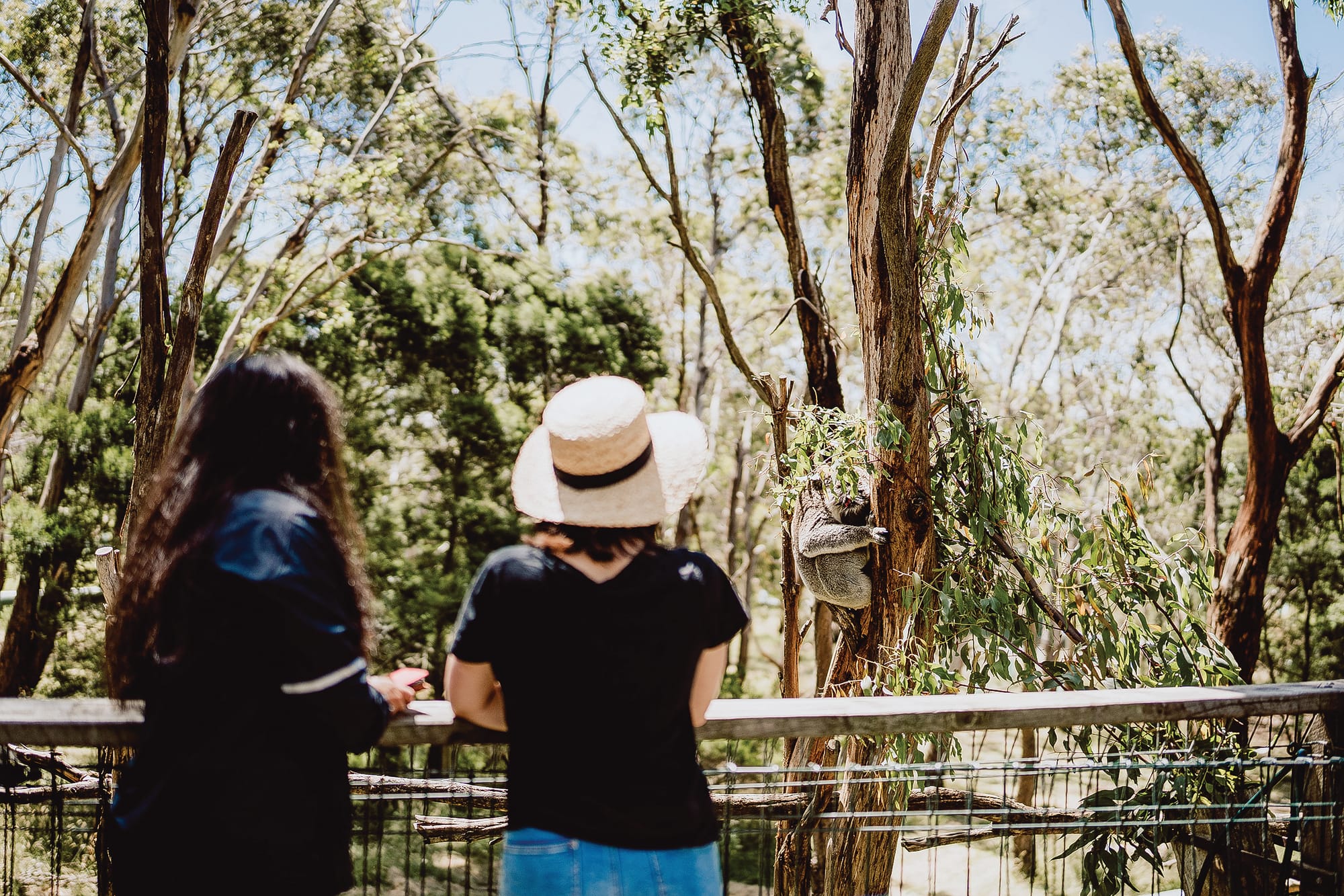 Tourism is everyone’s business