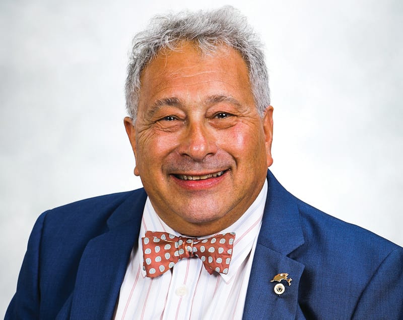 Councillor left out of pocket by scammers