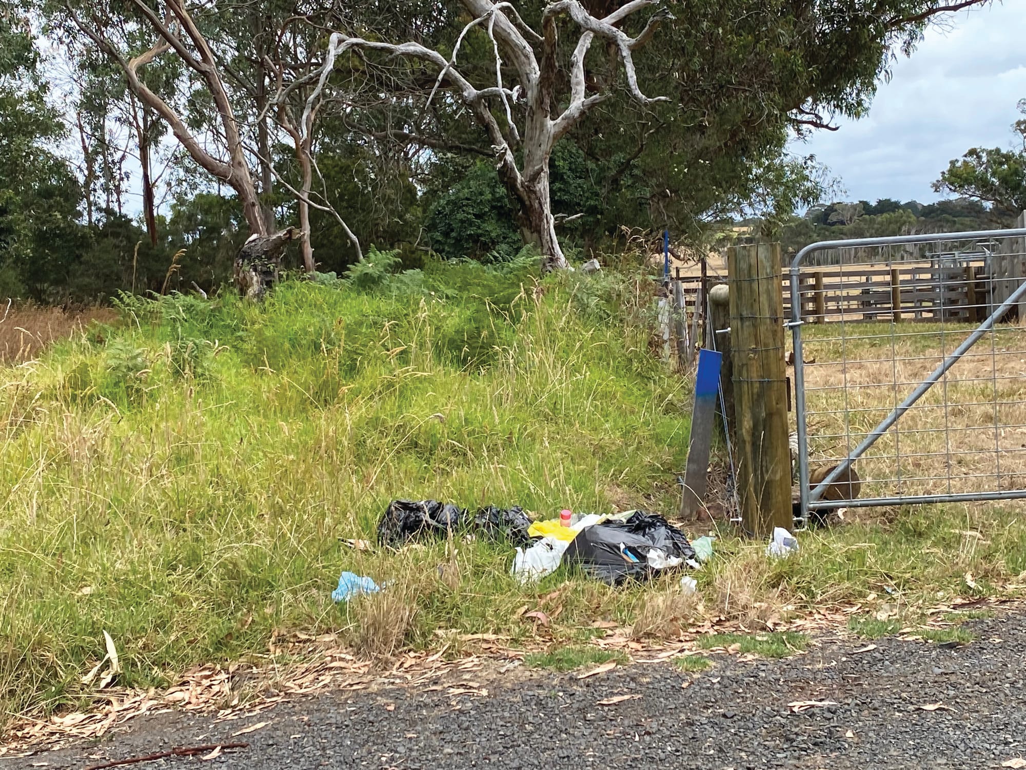 Illegal dumping continues