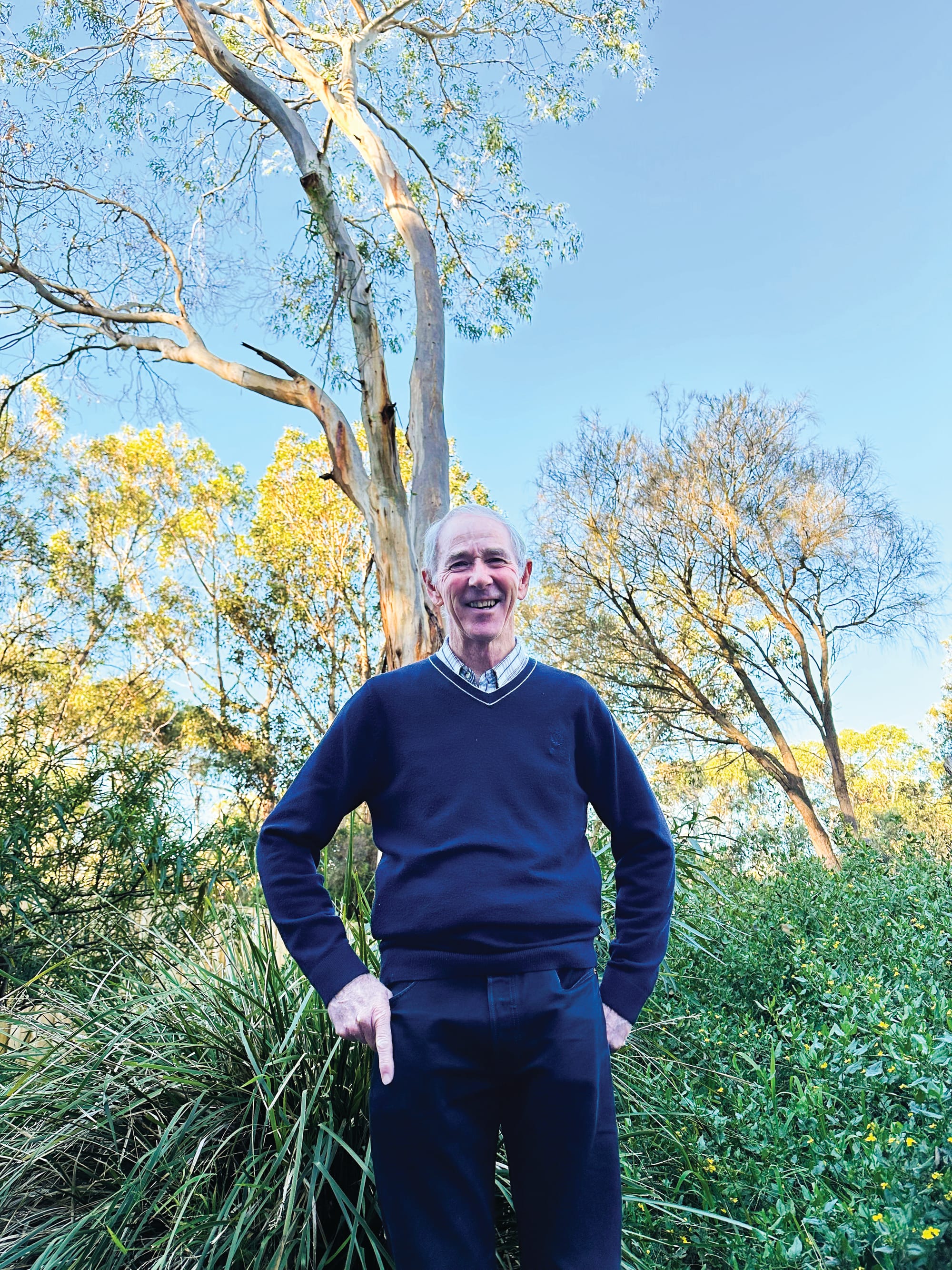 How much for a Cowes golden cypress? That's $20,000