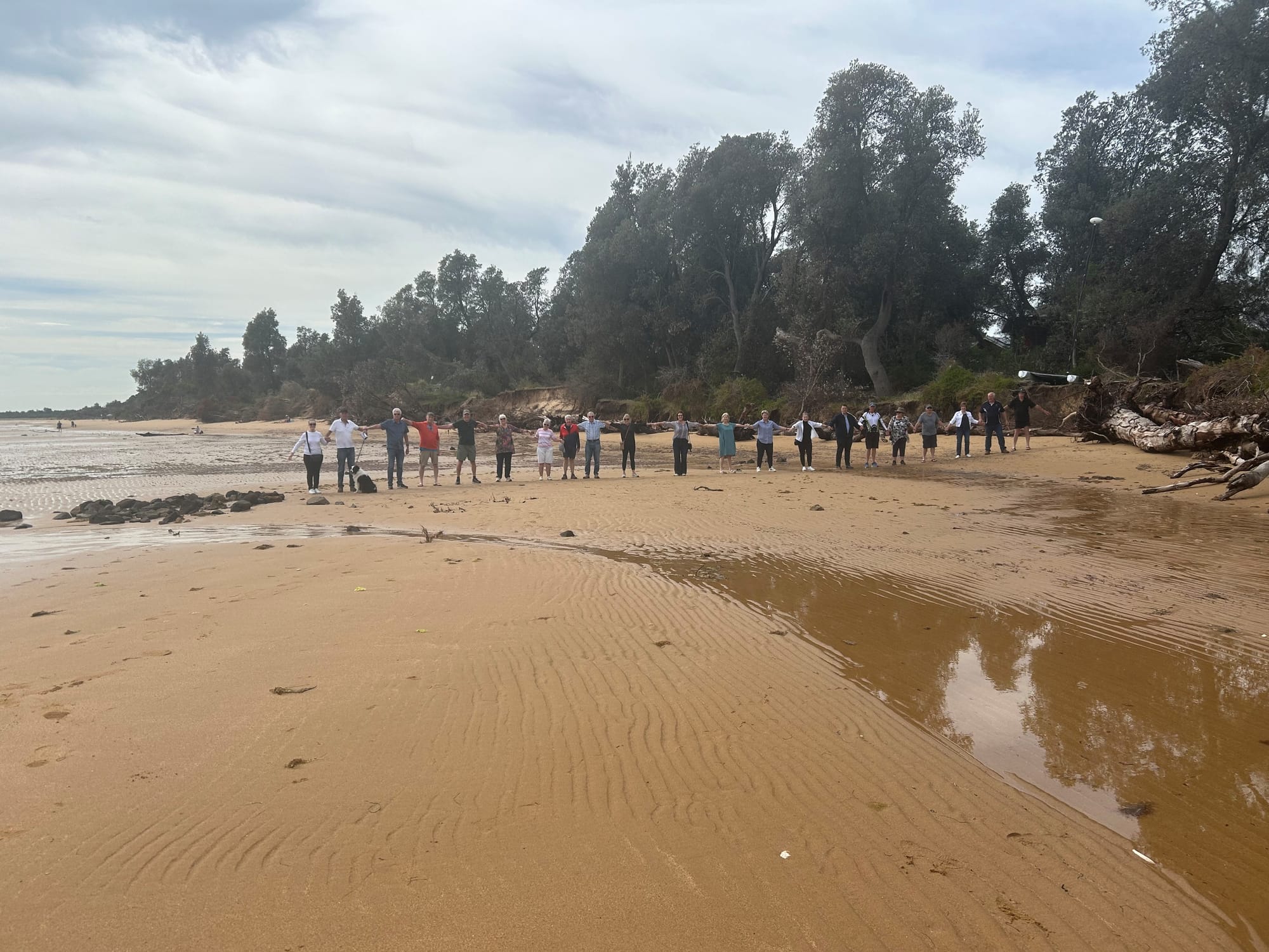Tumbling tree warning to summer tourists
