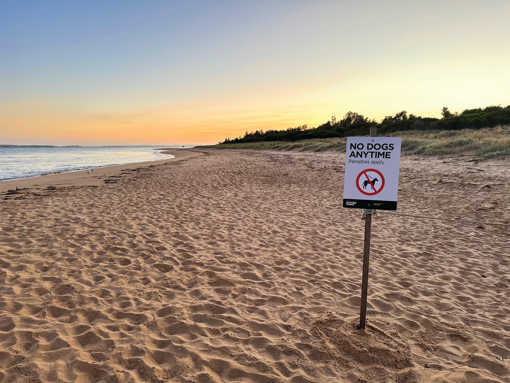 "Western Port is a gem in Victoria's crown": researchers