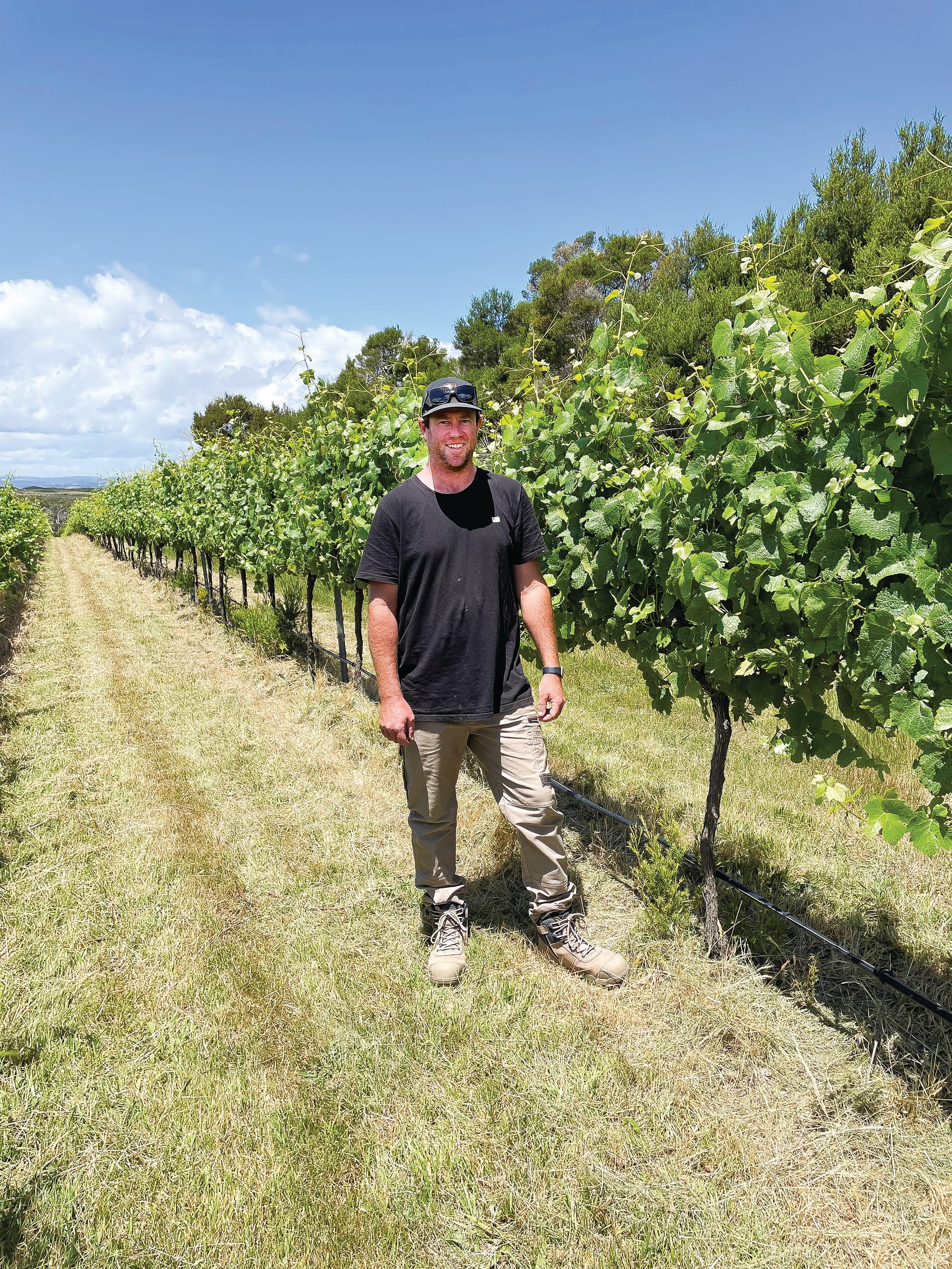 French Island on ABC TV
