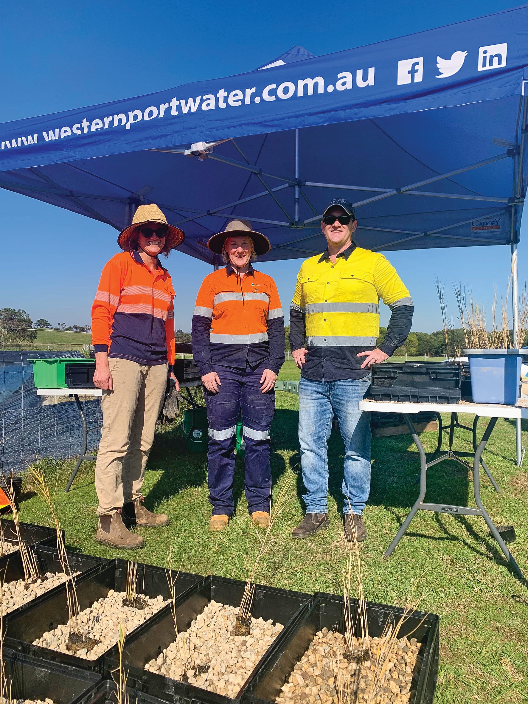 Plant power – pilot project