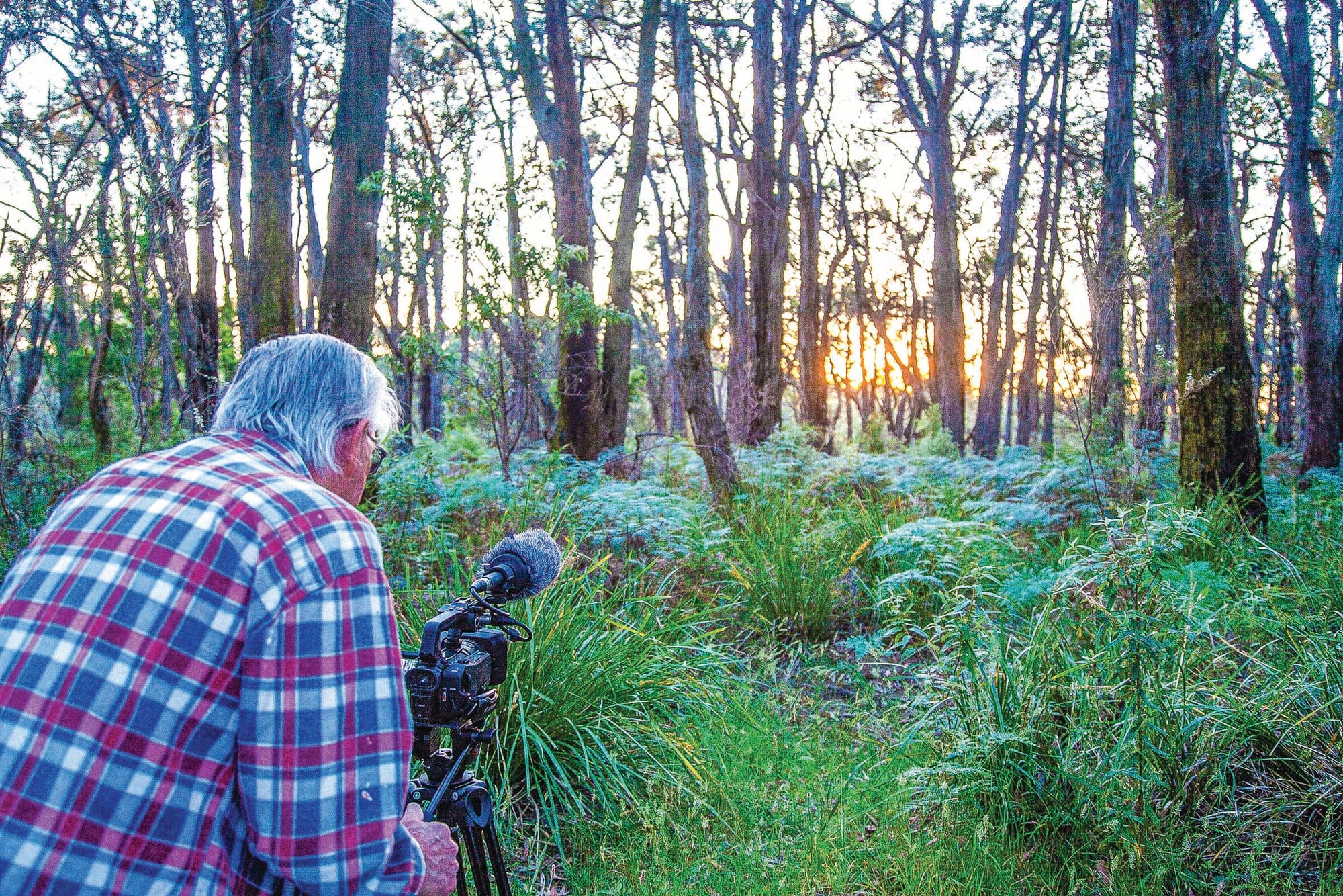 Phillip Islanders go to Hollywood