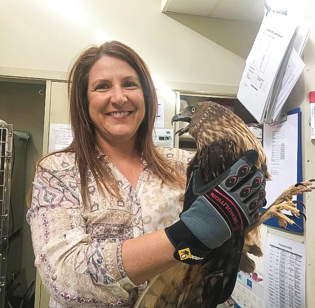 Wildlife rescue’s financial and emotional cost