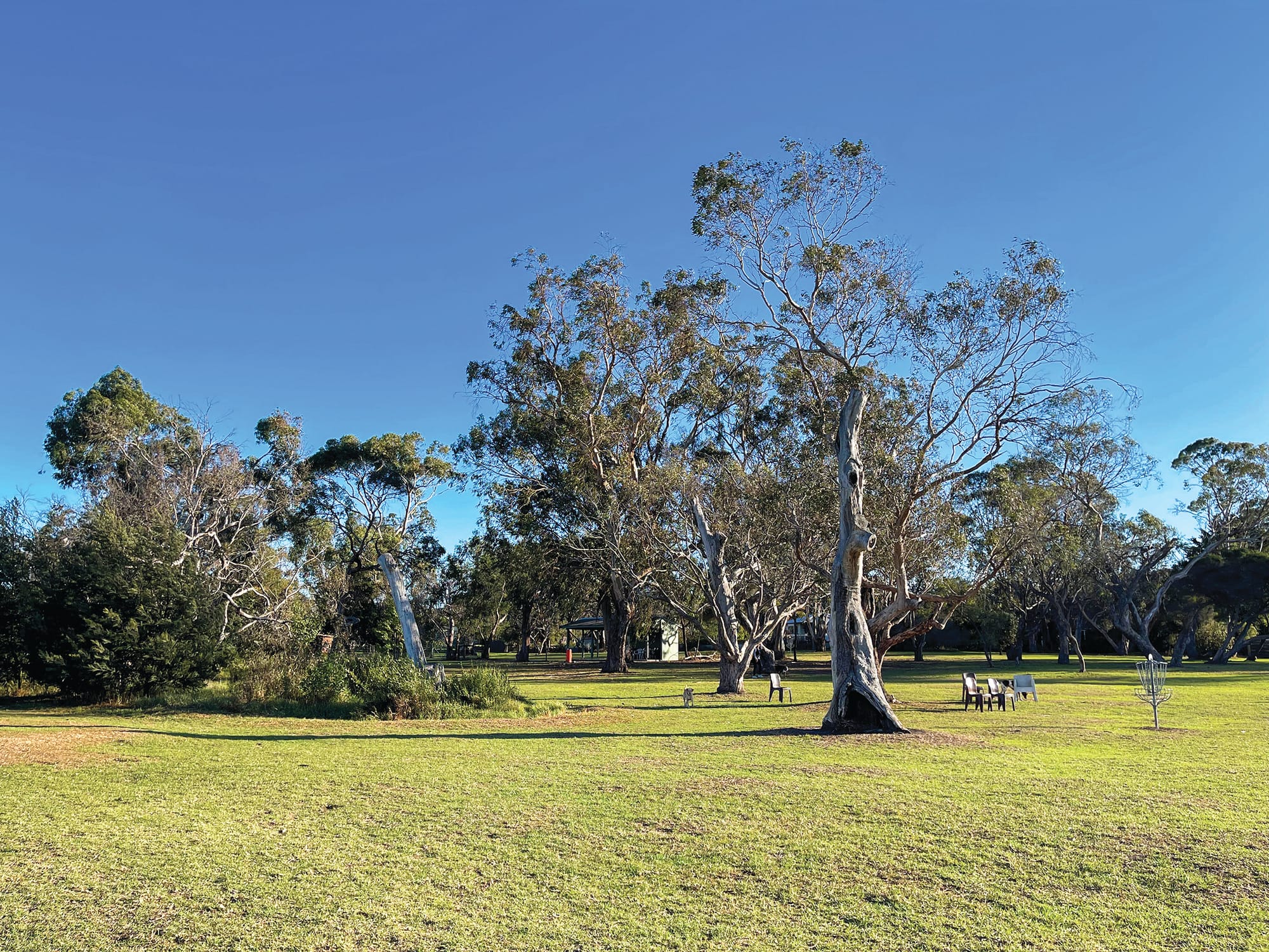 Dog owners on alert after poison bait