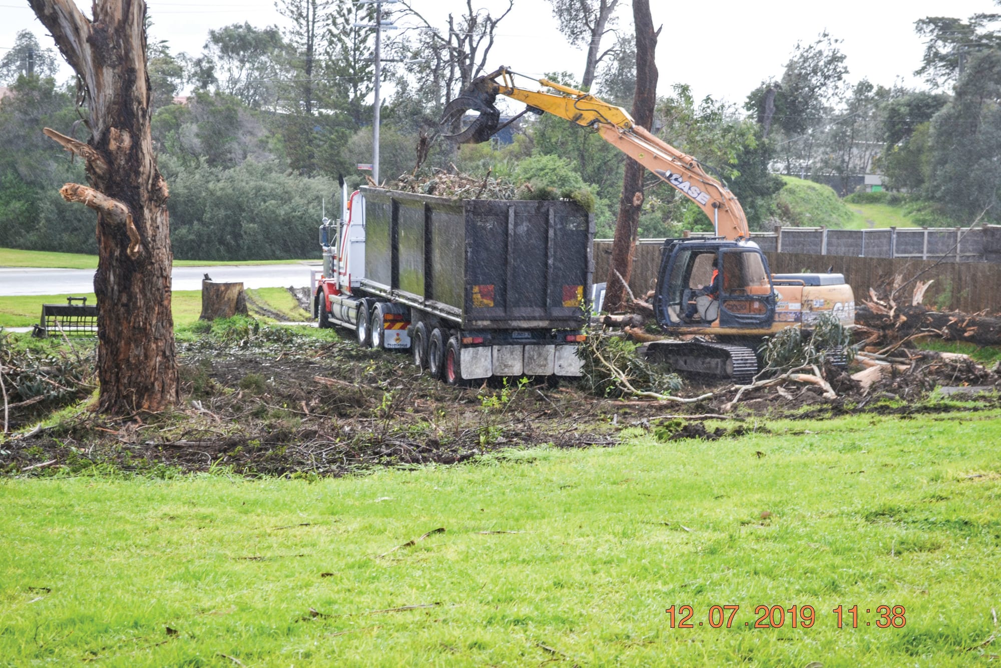 Our best trees to be protected