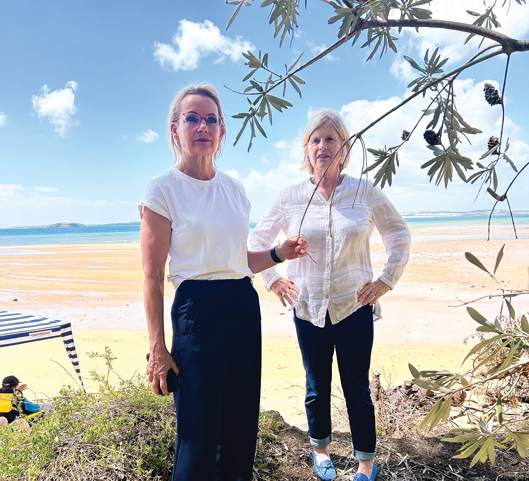 Erosion petition goes to Parliament