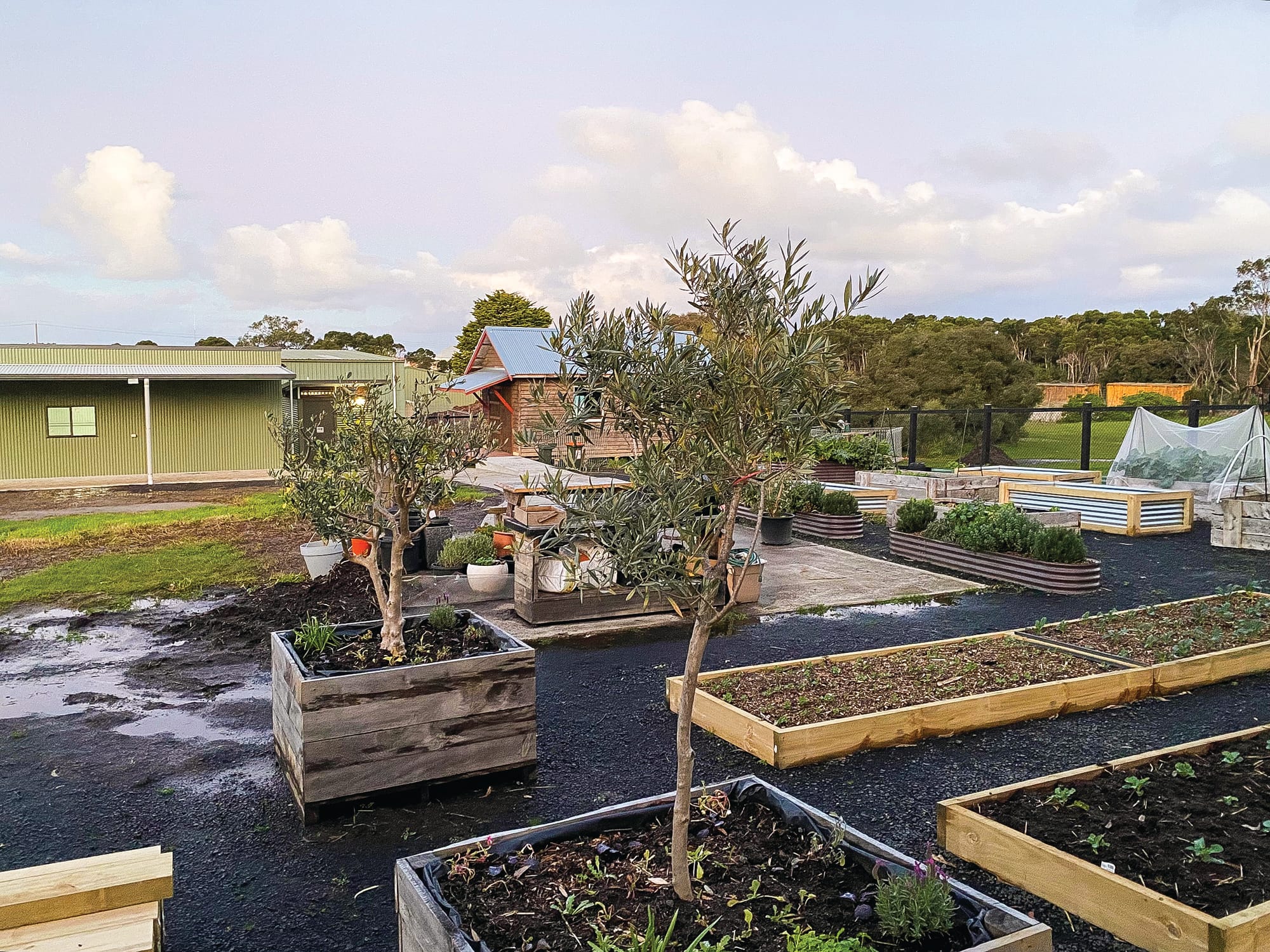 PICAL finally takes over community garden