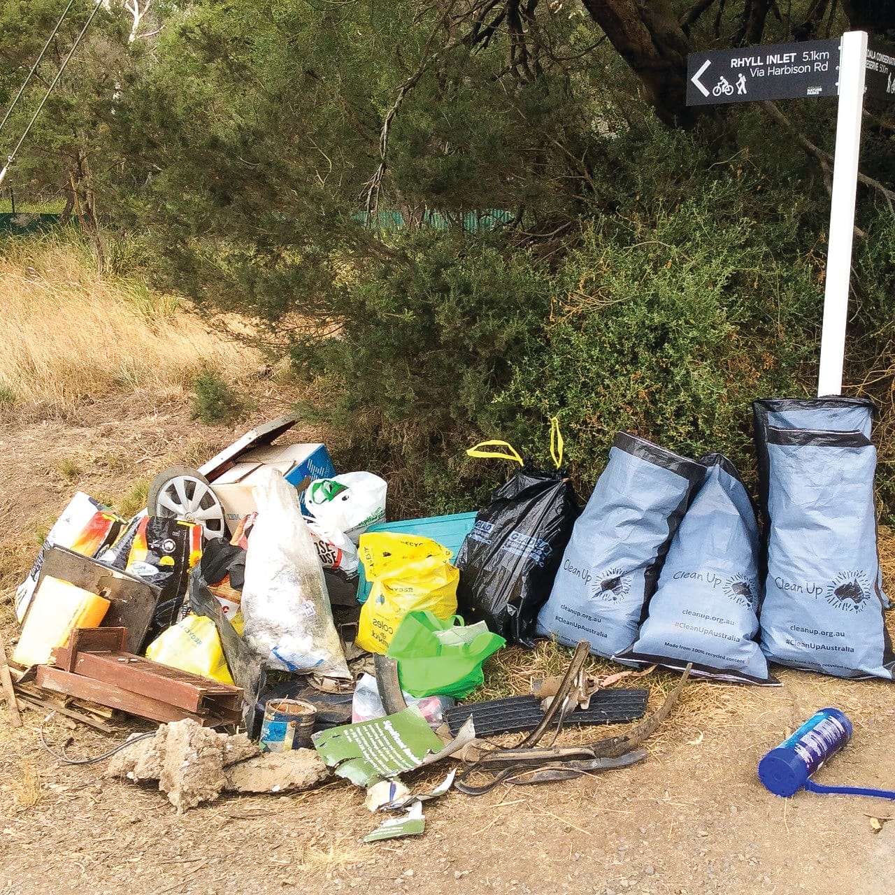 Friends of Koalas clean up