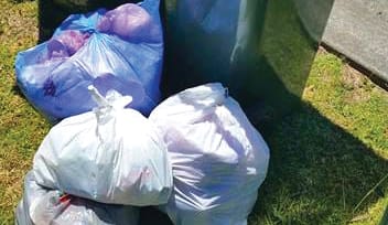 What a waste: rubbish fees skyrocket