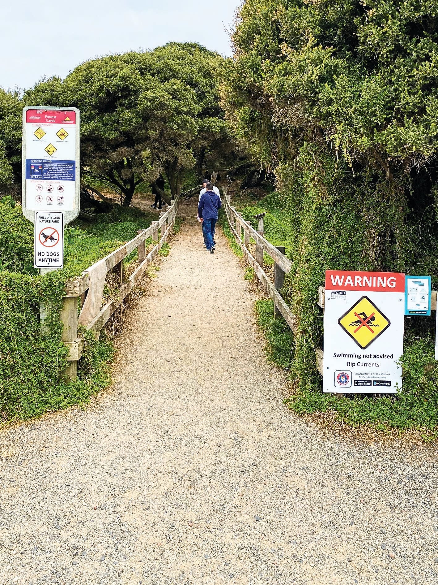 Forrest Caves stairs upgrade