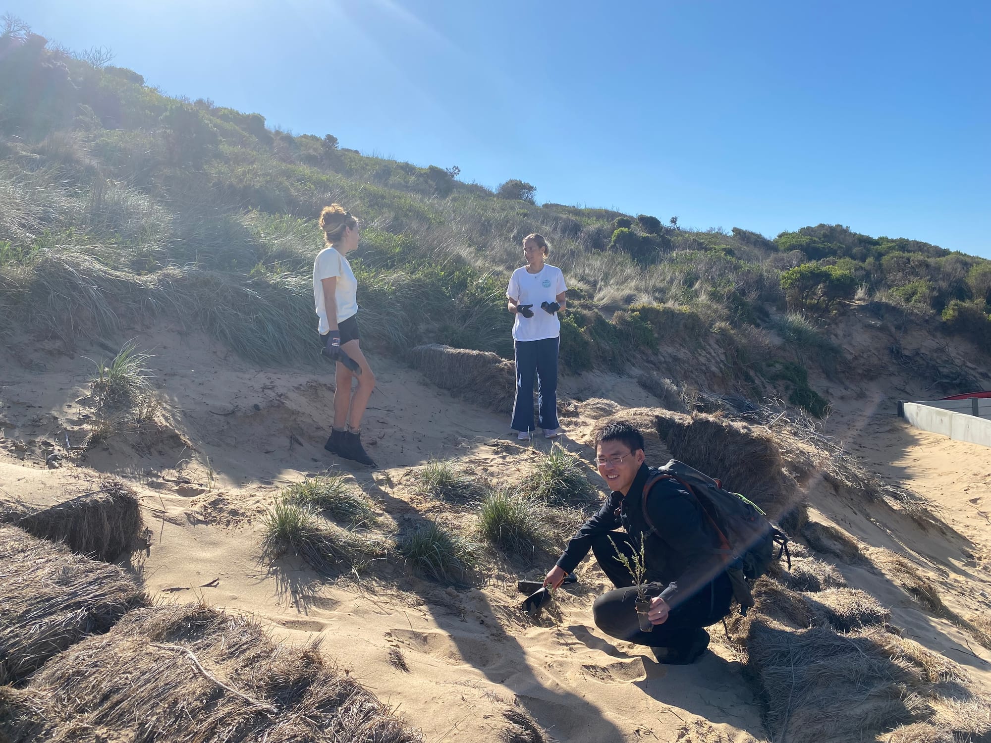 Dunes restoration gets a boost