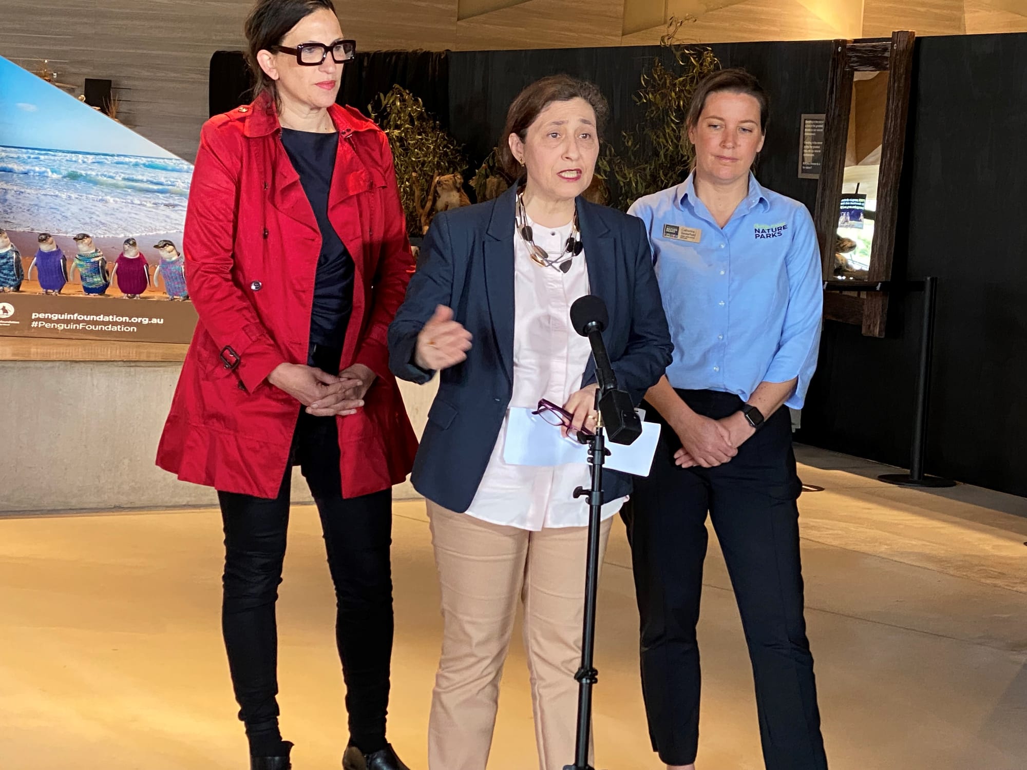 100-year milestone for our little penguins