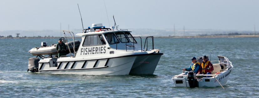 Calls for VFA restructure to halt