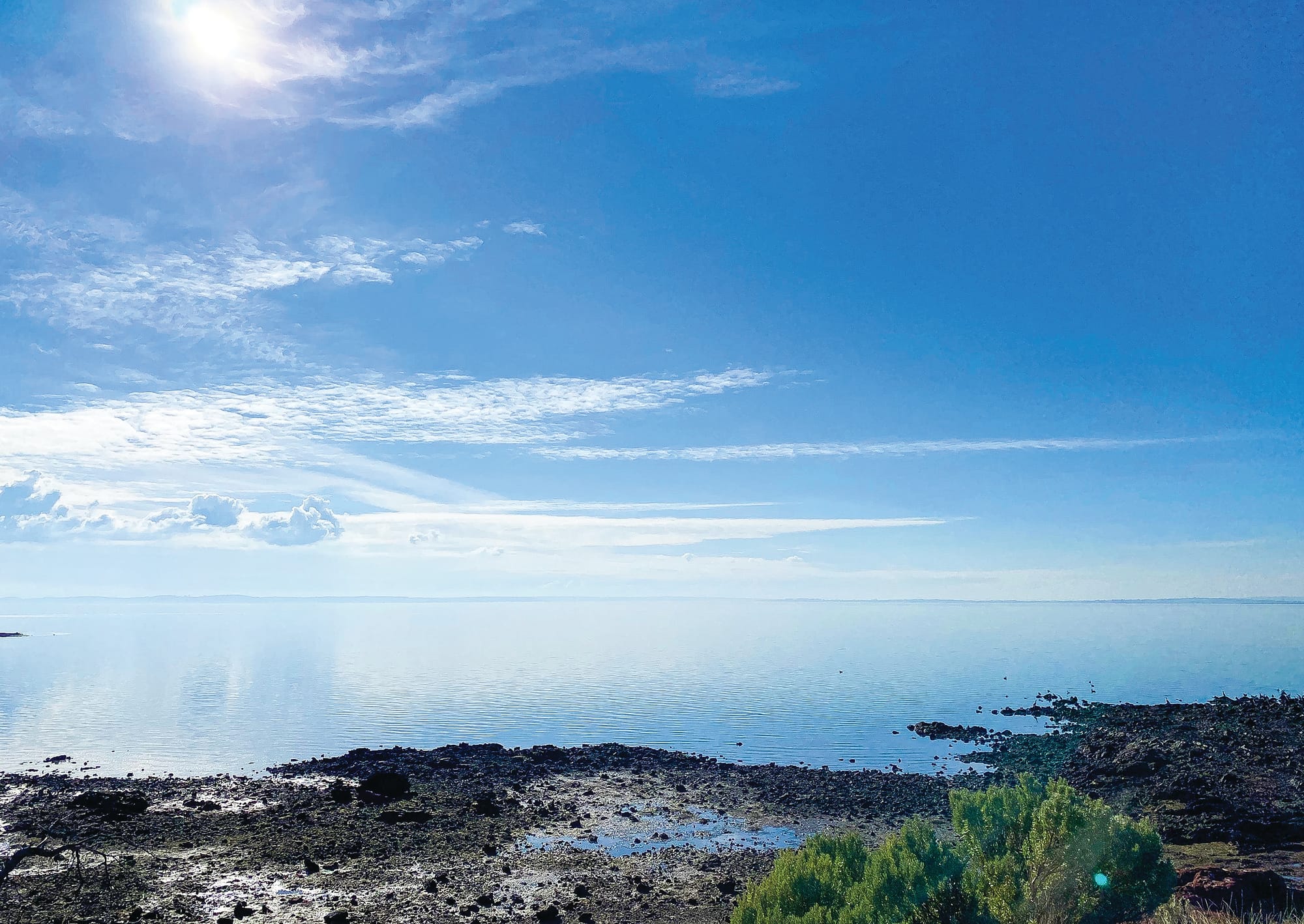 Calling on citizen scientists