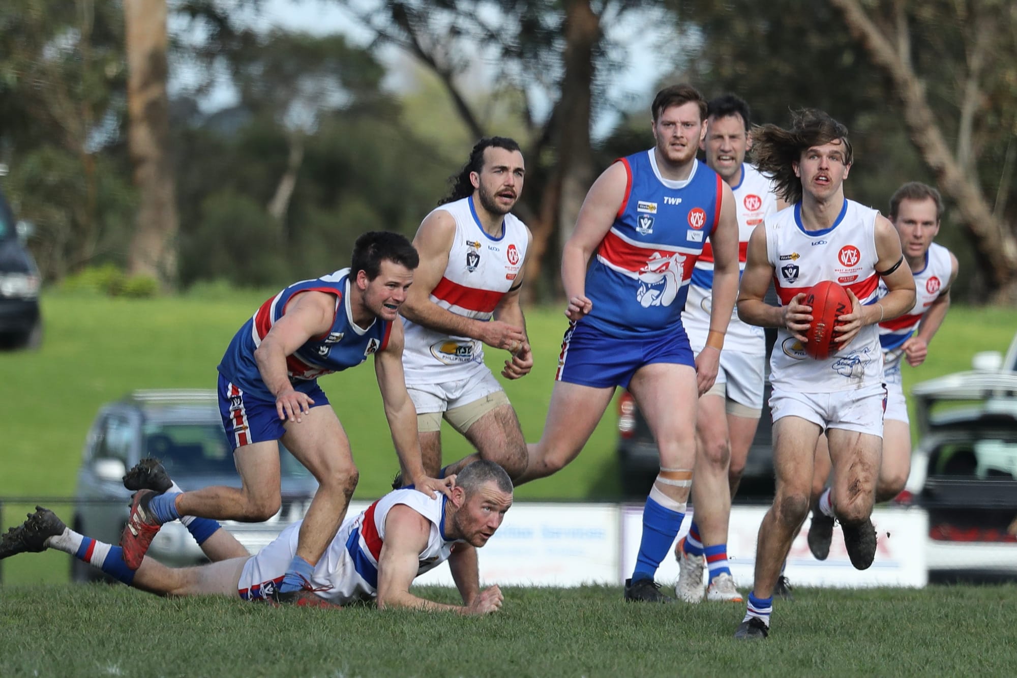 Island Bulldogs lead the pack