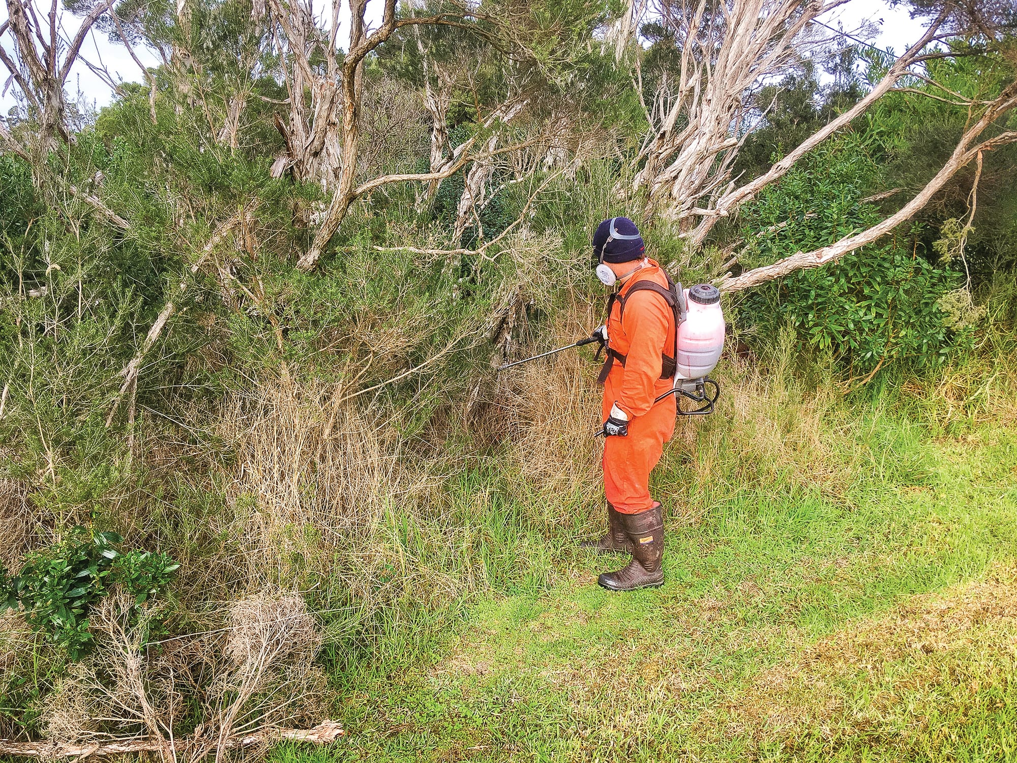 Rhyll Coast Action takes action