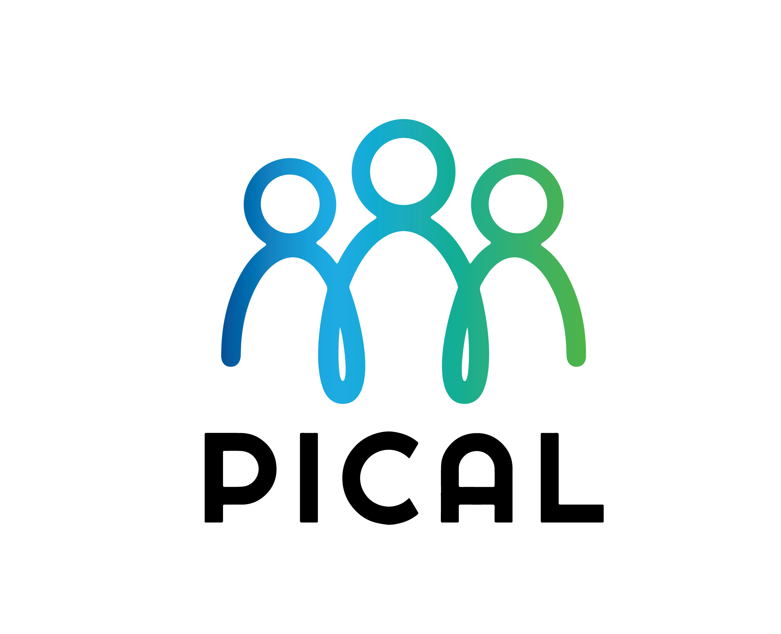 PICAL - Committee of Management statement